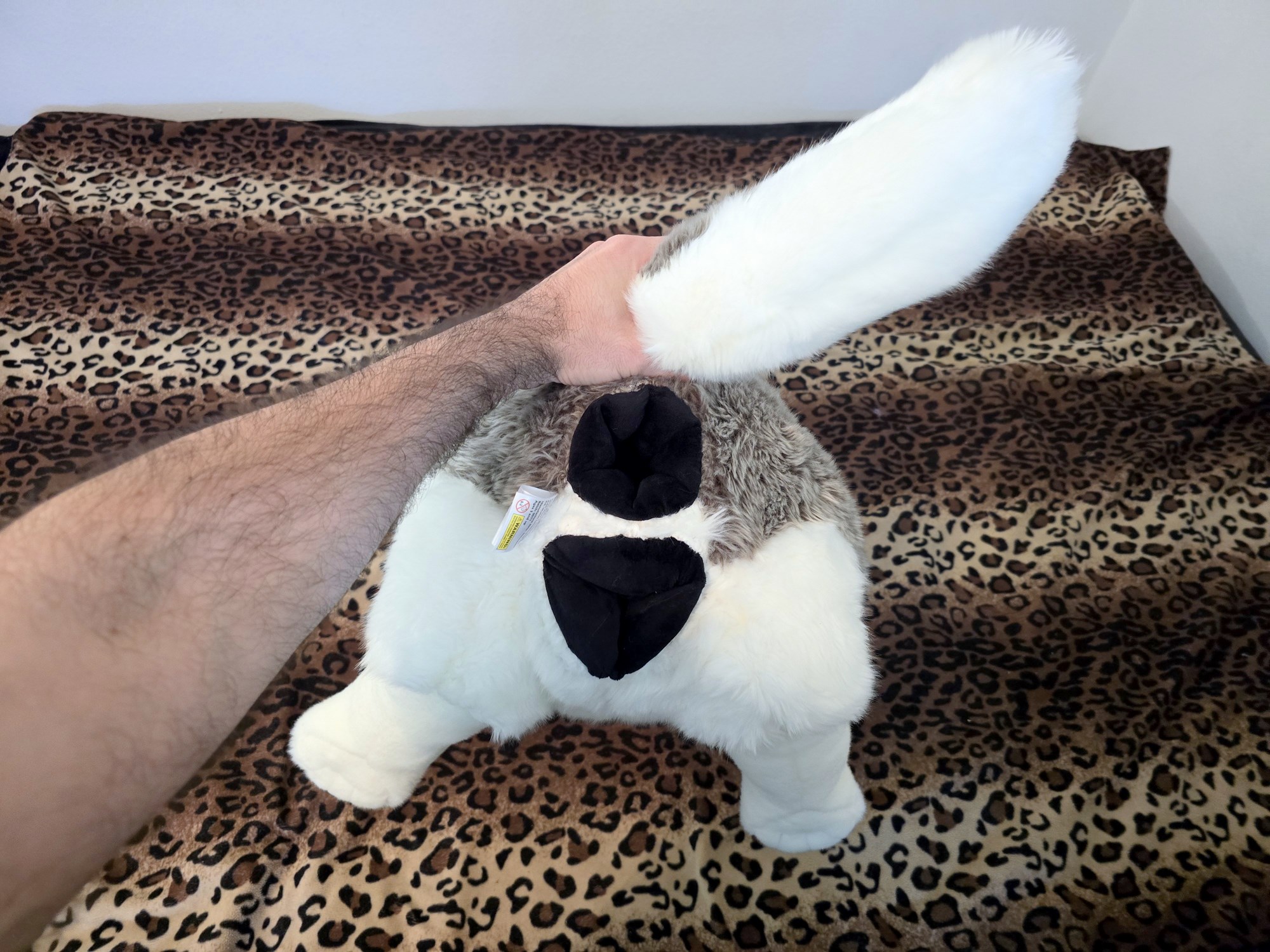 20250306_141305 (Copy)