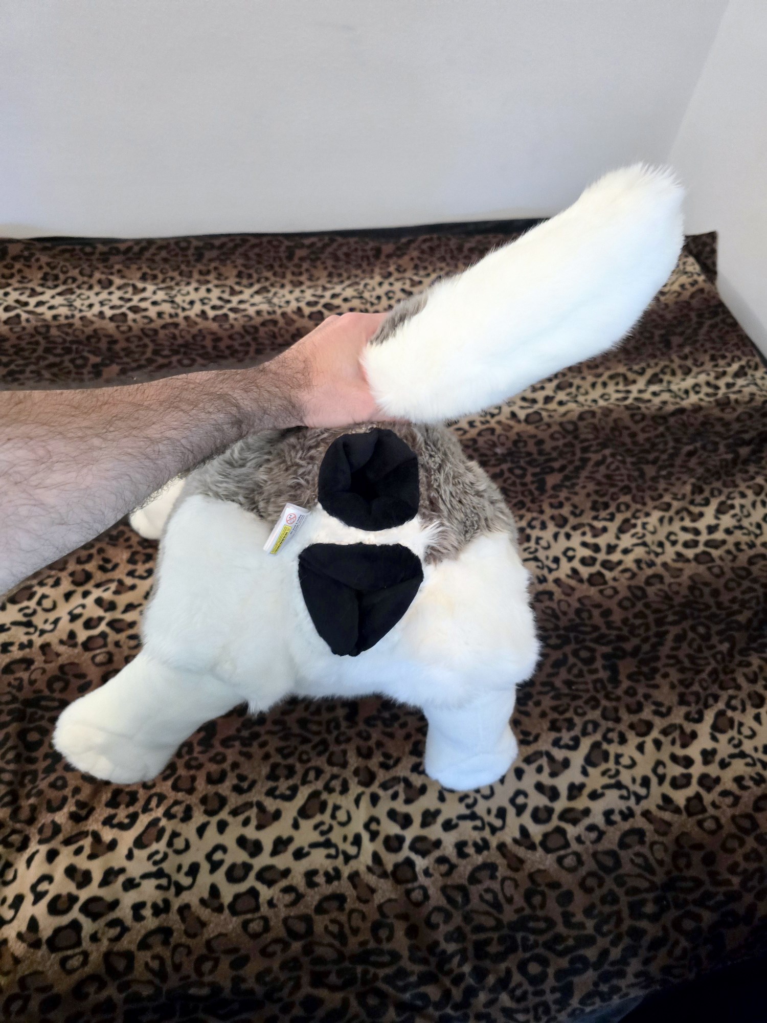 20250306_141307(0) (Copy)