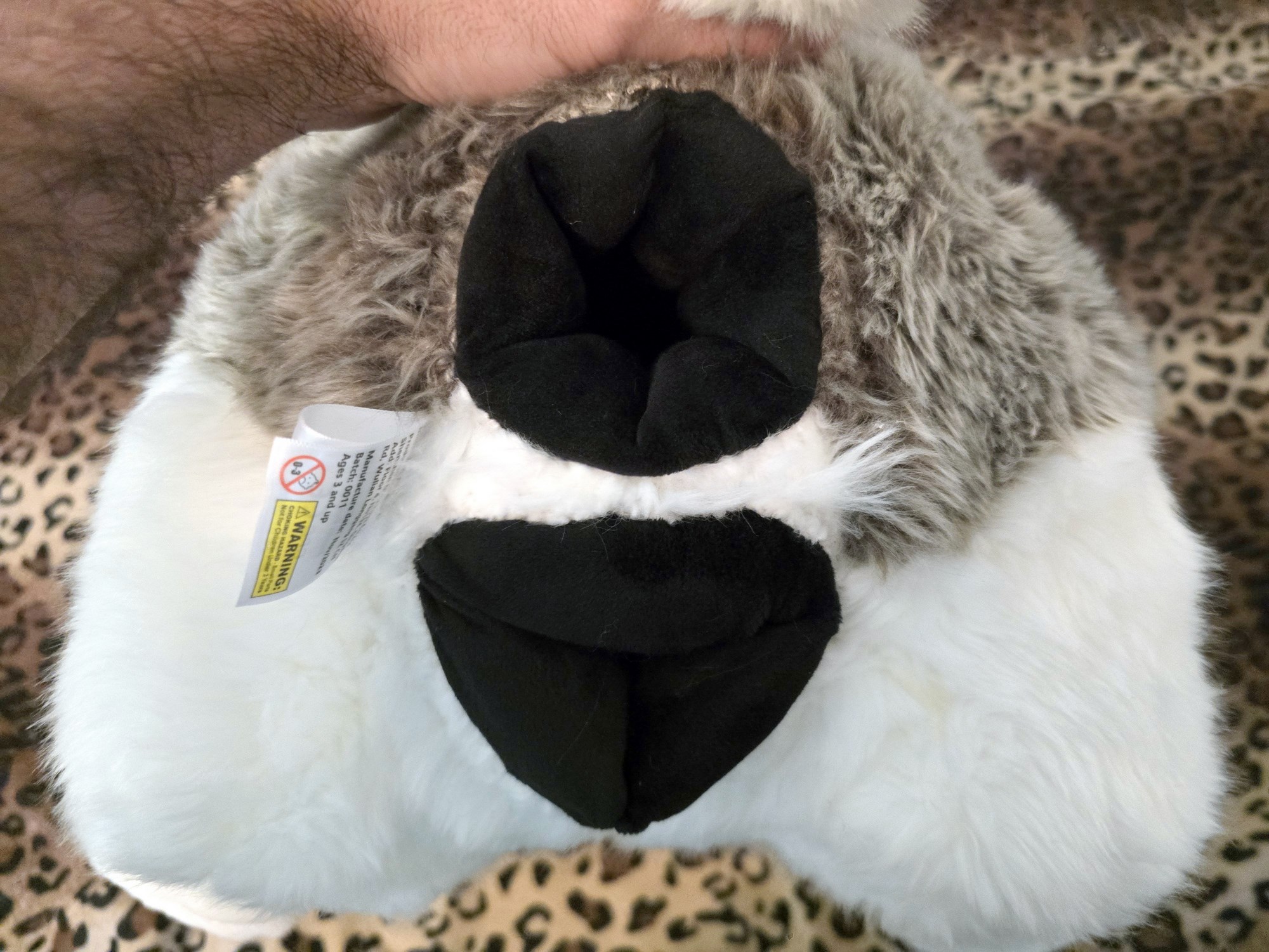 20250306_141311(0) (Copy)