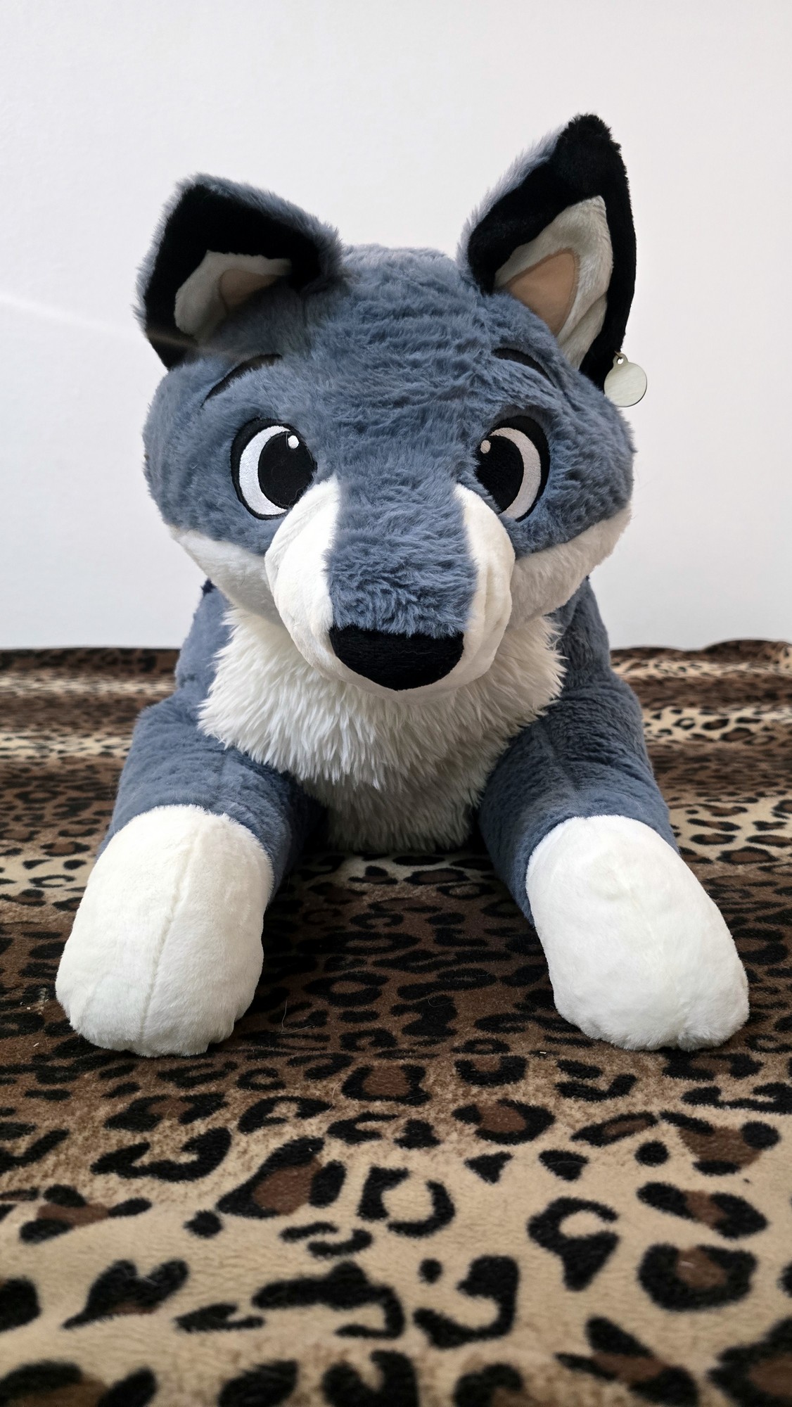 20250723_141755 (Copy)