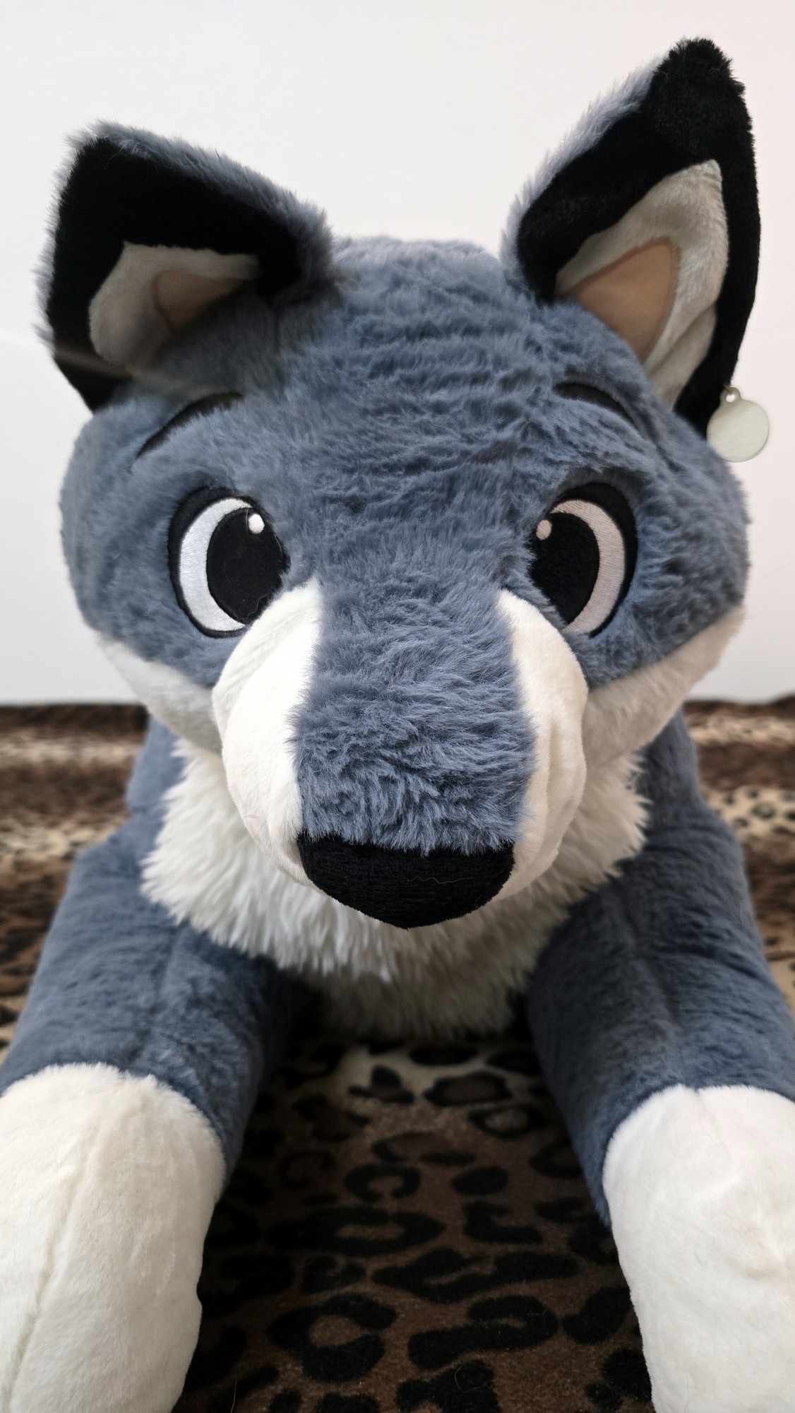 20250723_141812 (Copy)