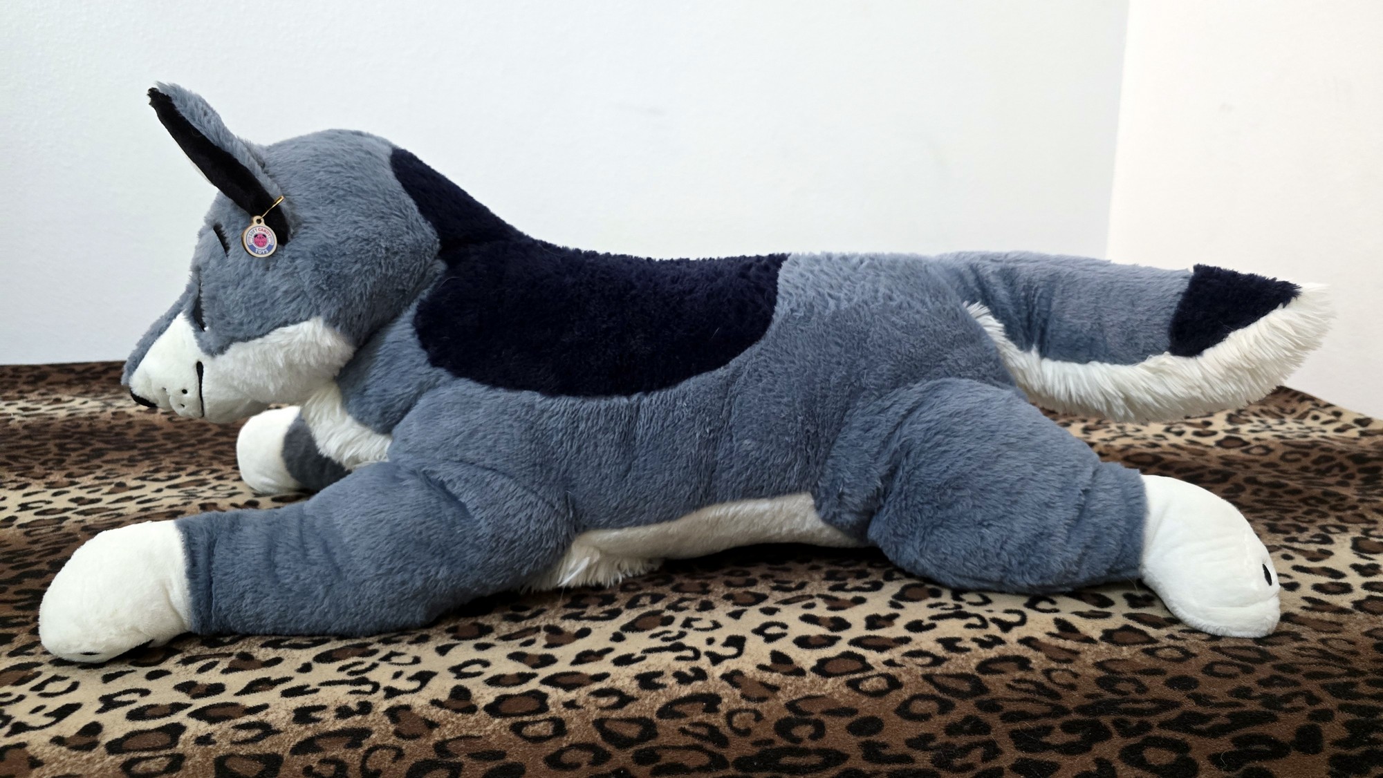 20250723_141826 (Copy)