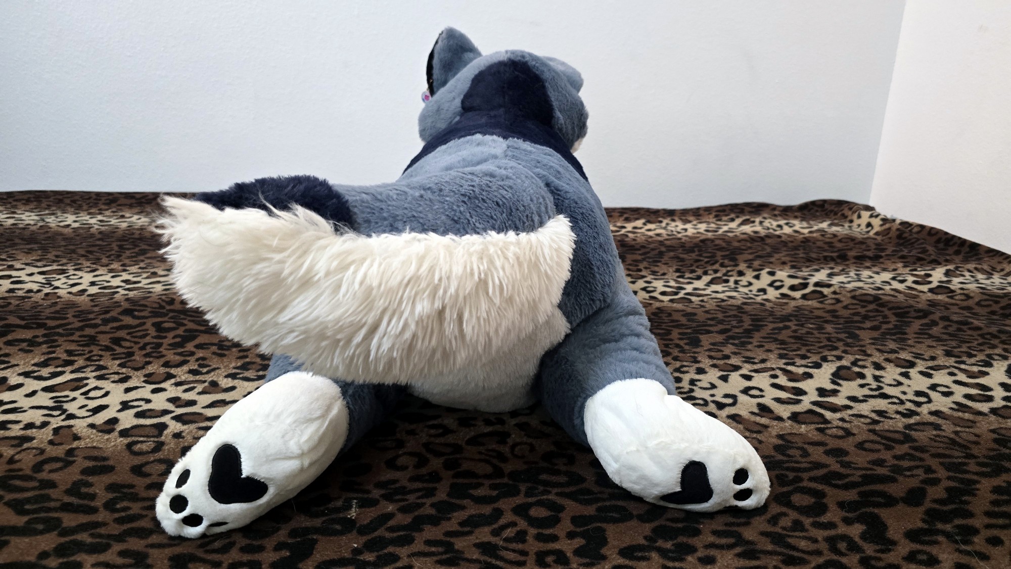 20250723_141838 (Copy)