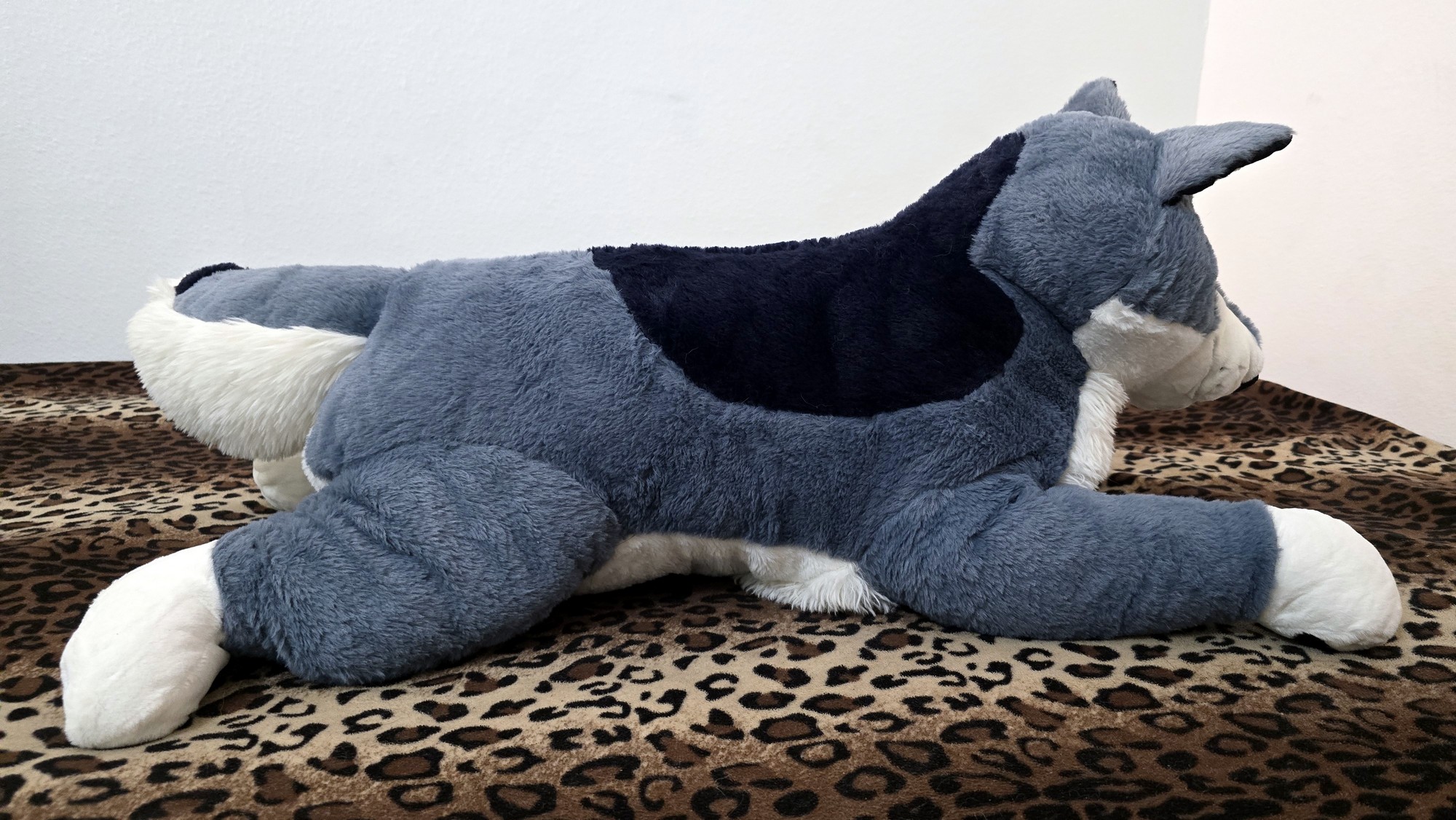 20250723_141851 (Copy)