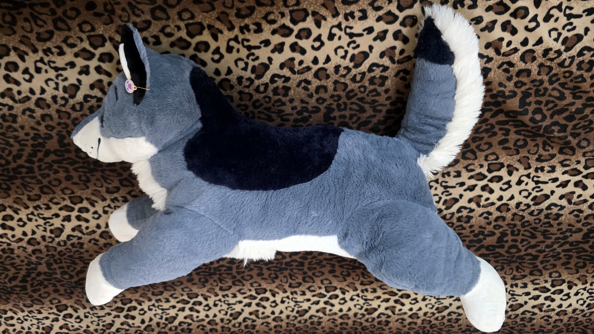 20250723_141904 (Copy)