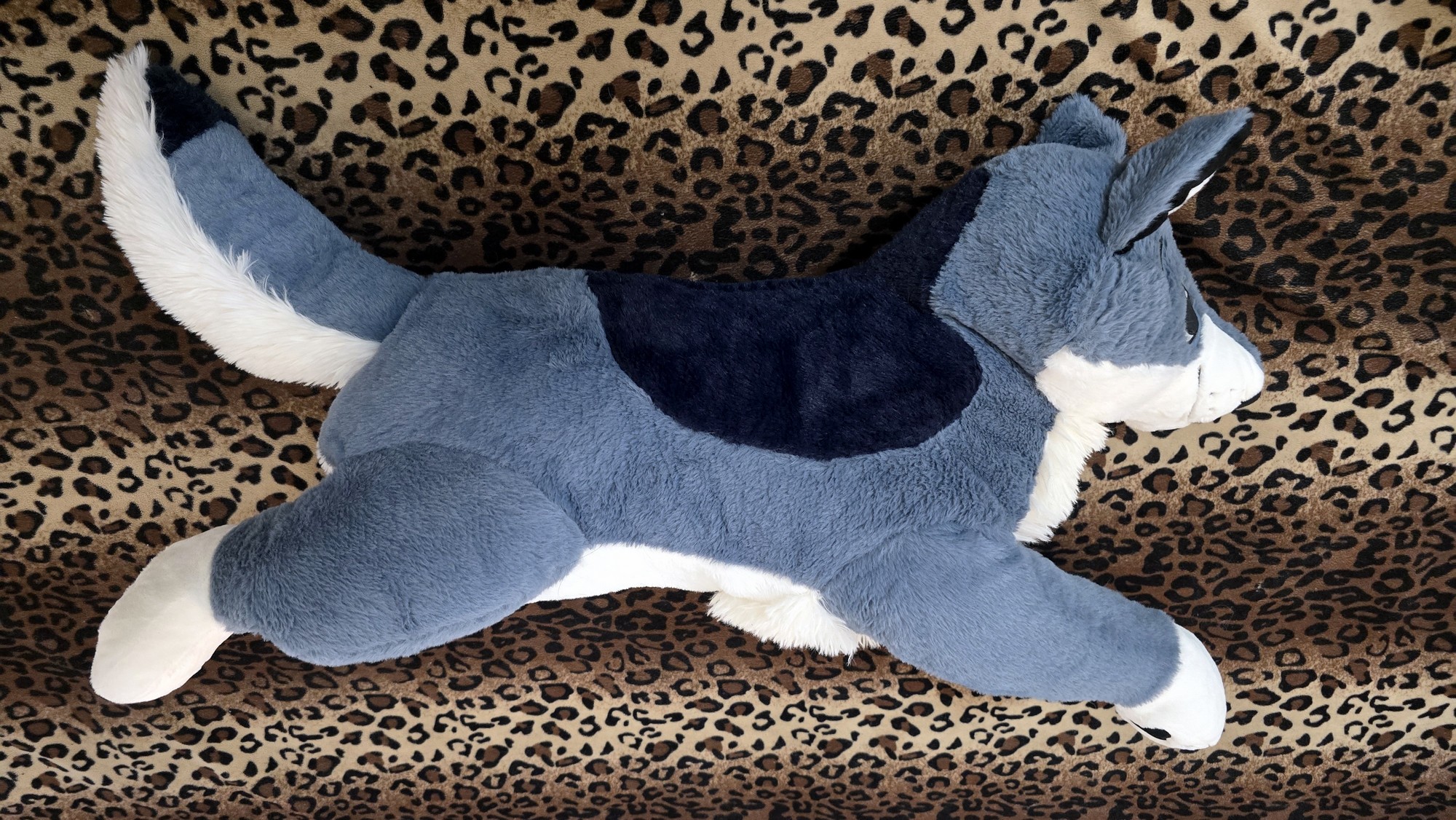 20250723_141910 (Copy)