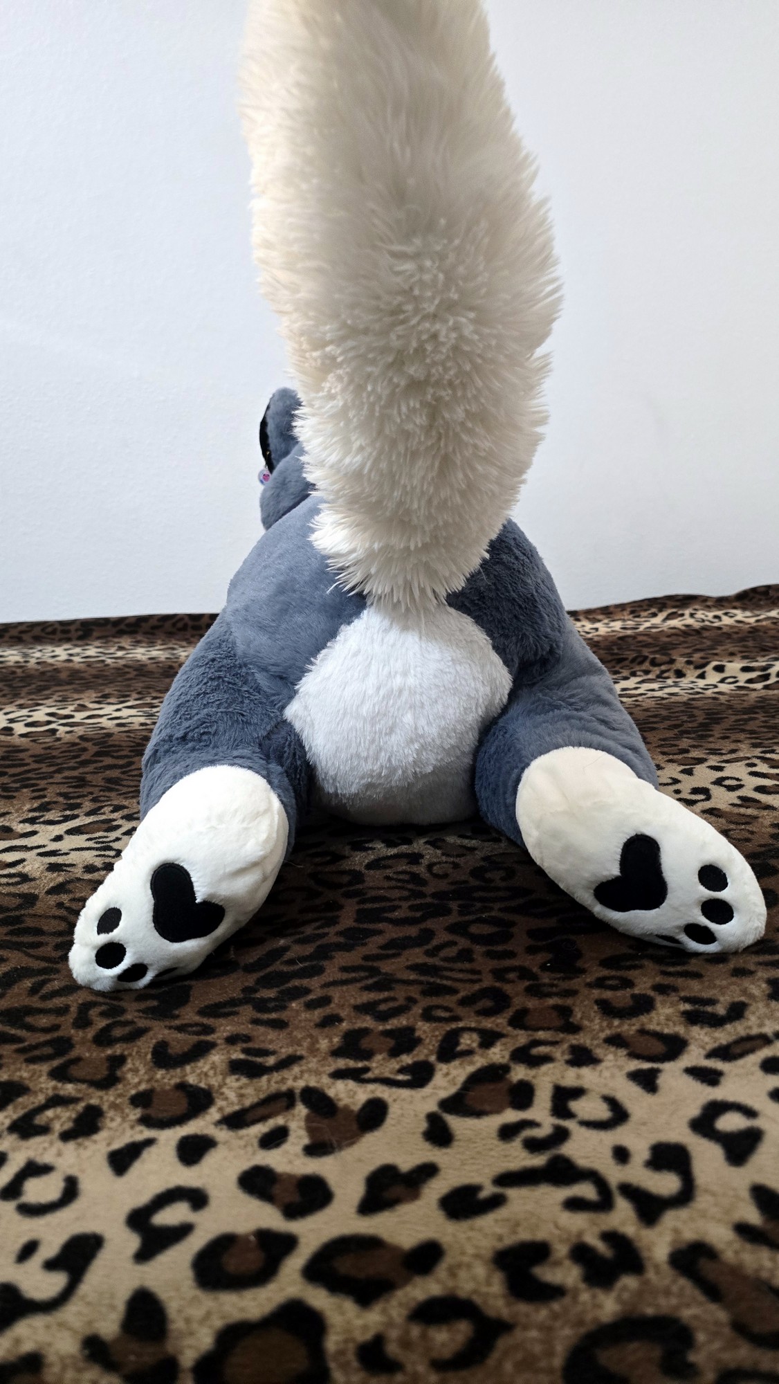 20250723_142052 (Copy)