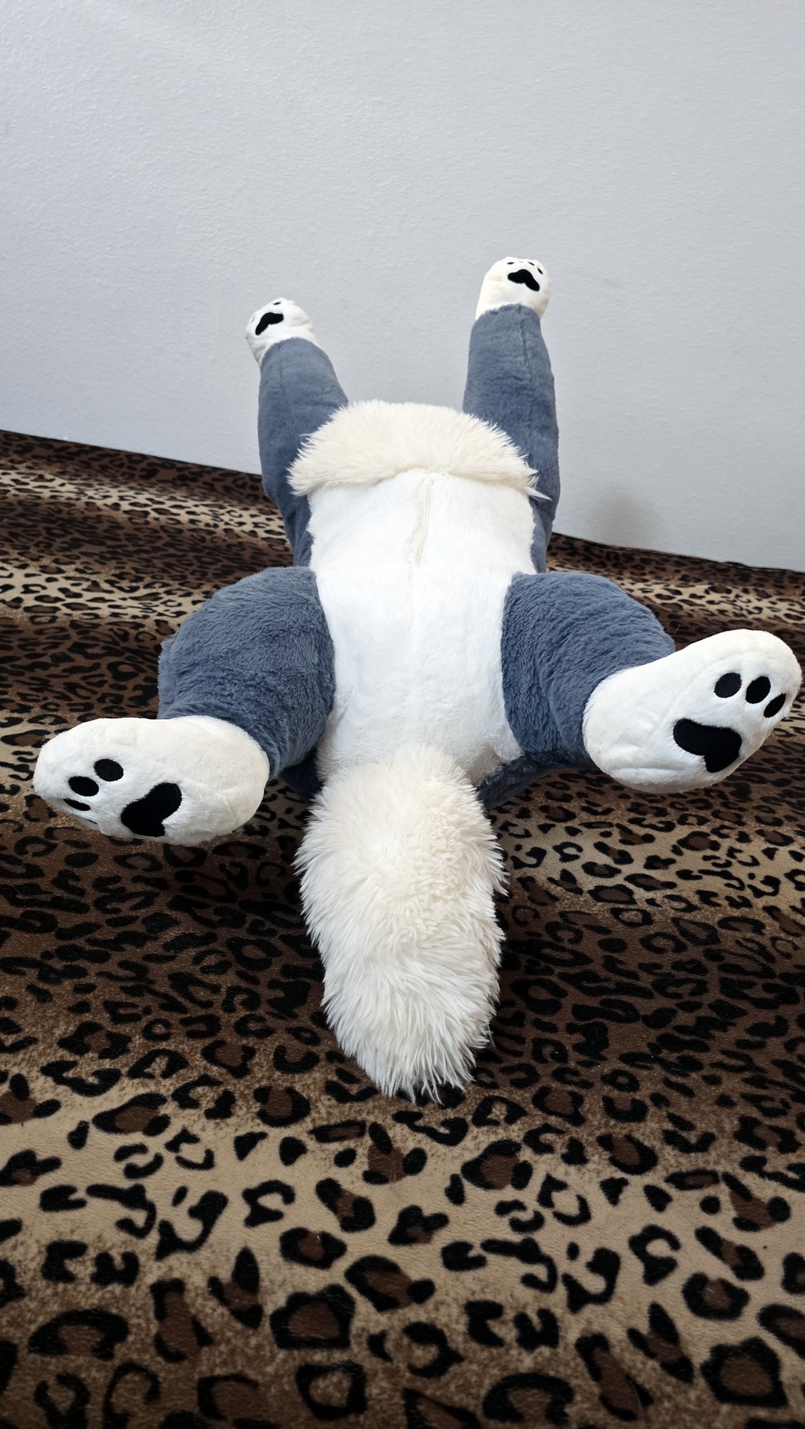 20250723_142119 (Copy)