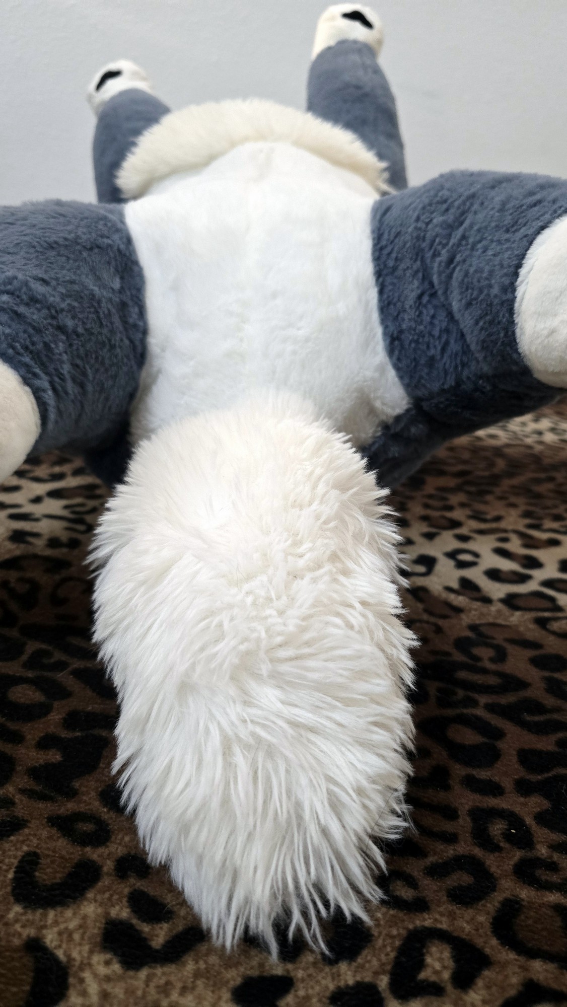 20250723_142123 (Copy)