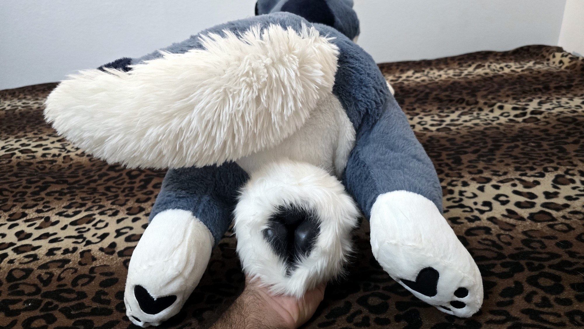 20250723_142146 (Copy)