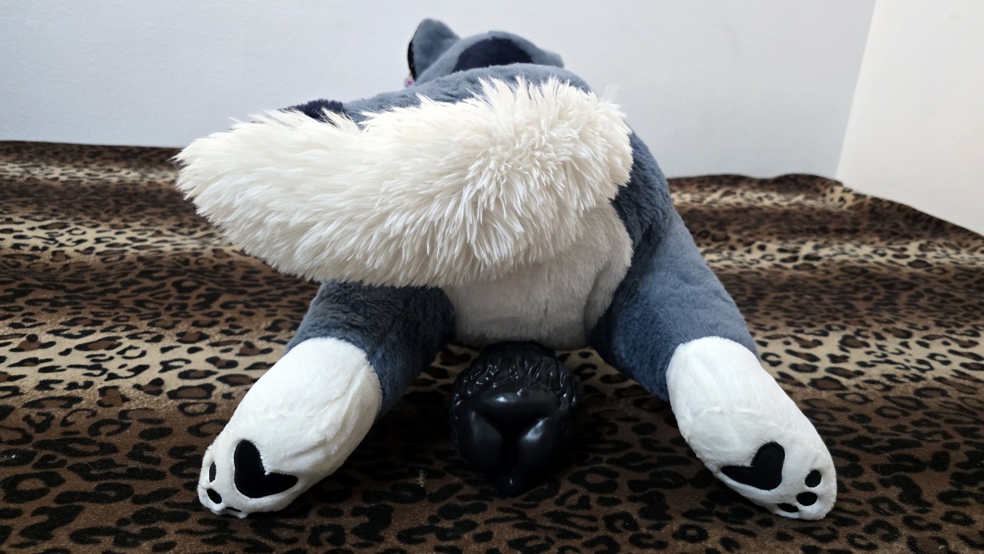 20250723_142507 (Copy)