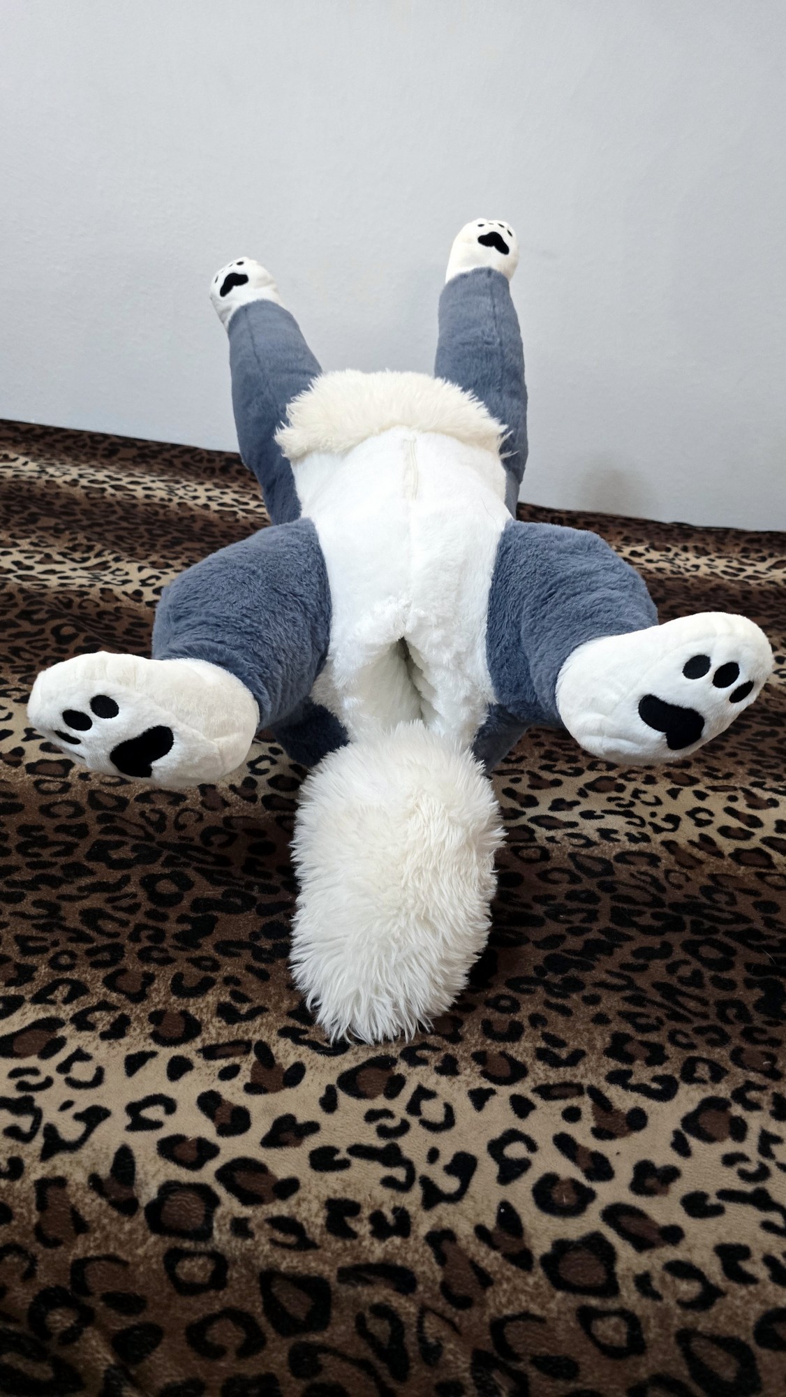 20250723_165807(0) (Copy)