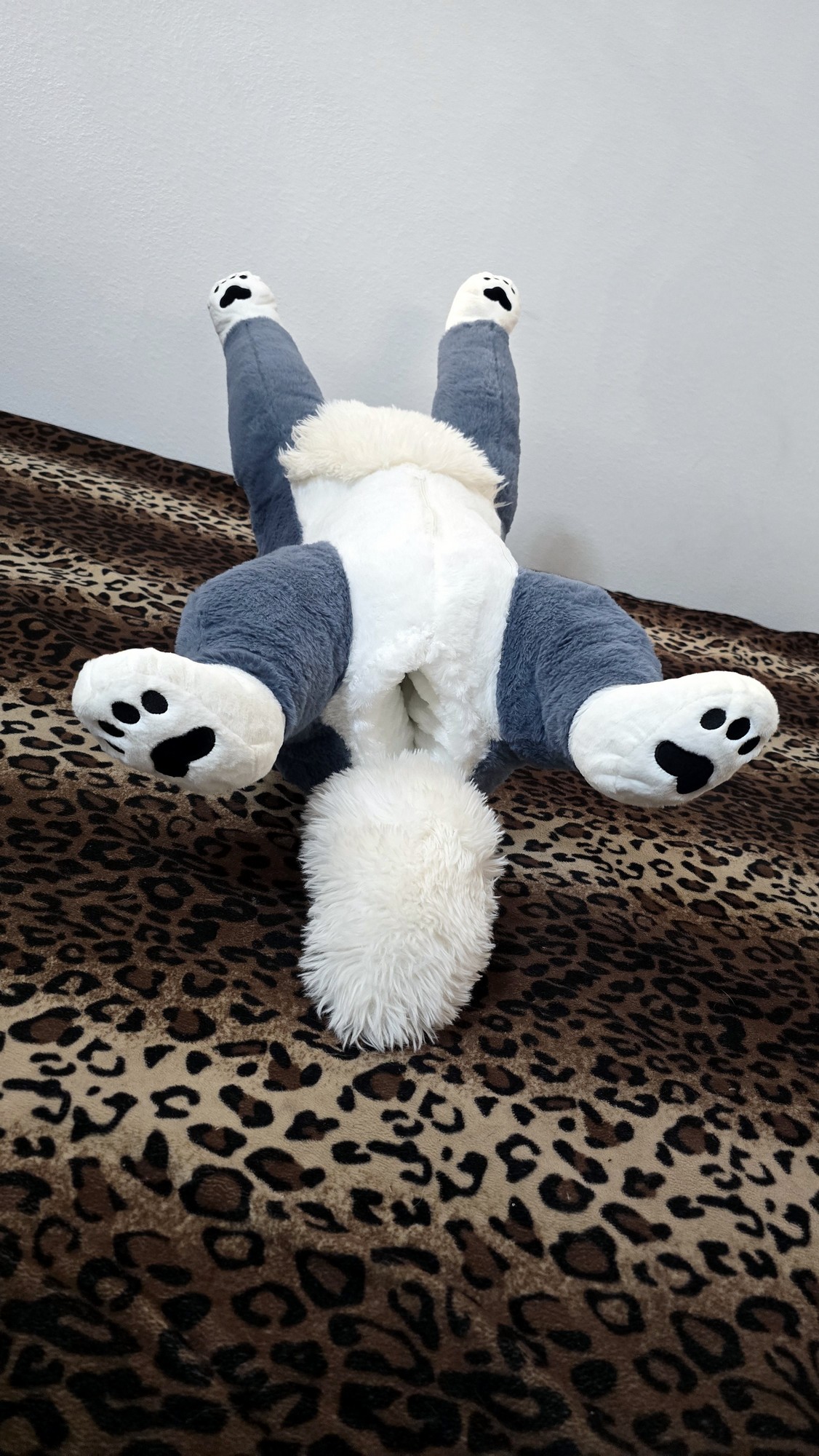 20250723_165809(0) (Copy)