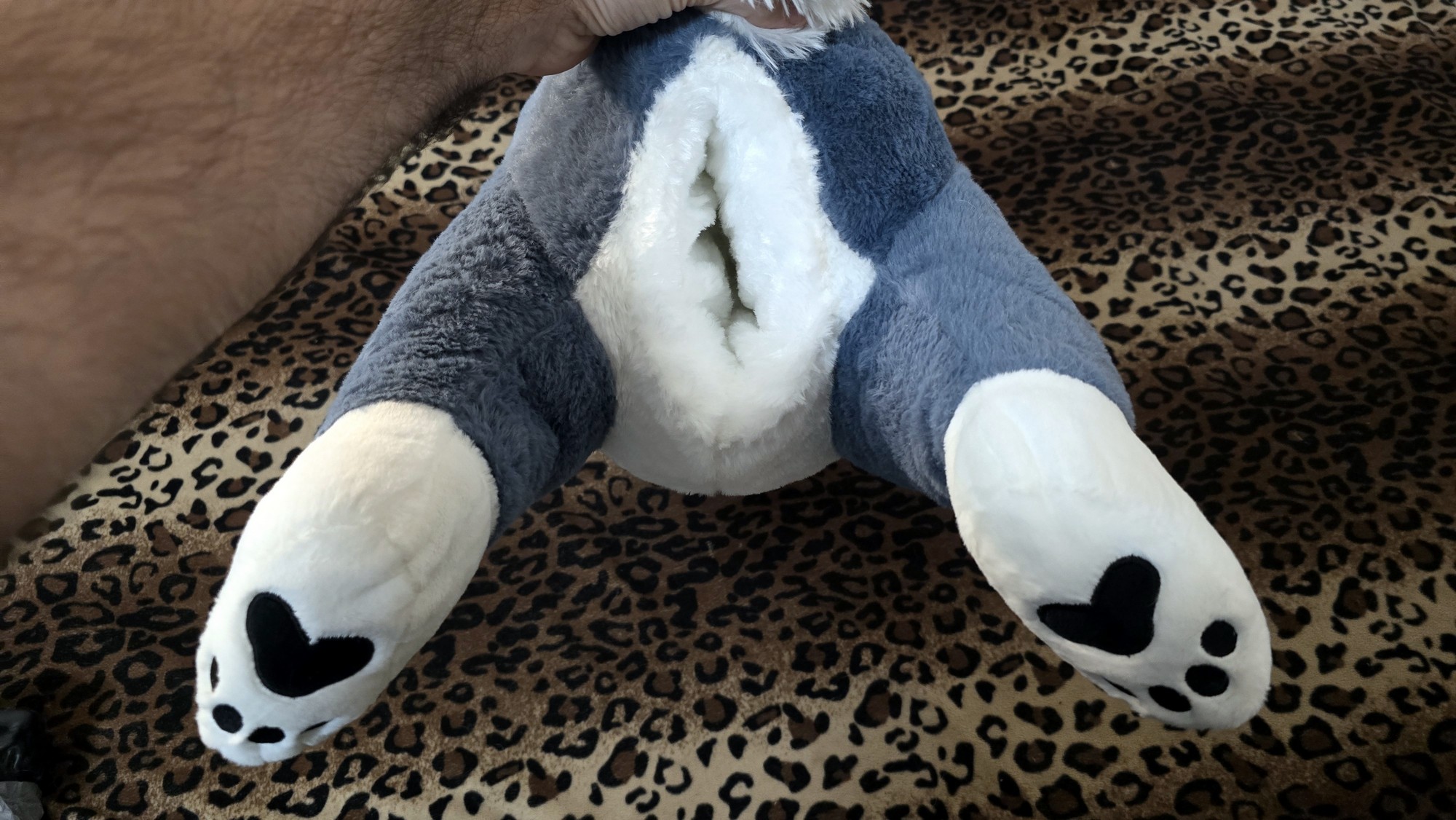 20250723_165833 (Copy)