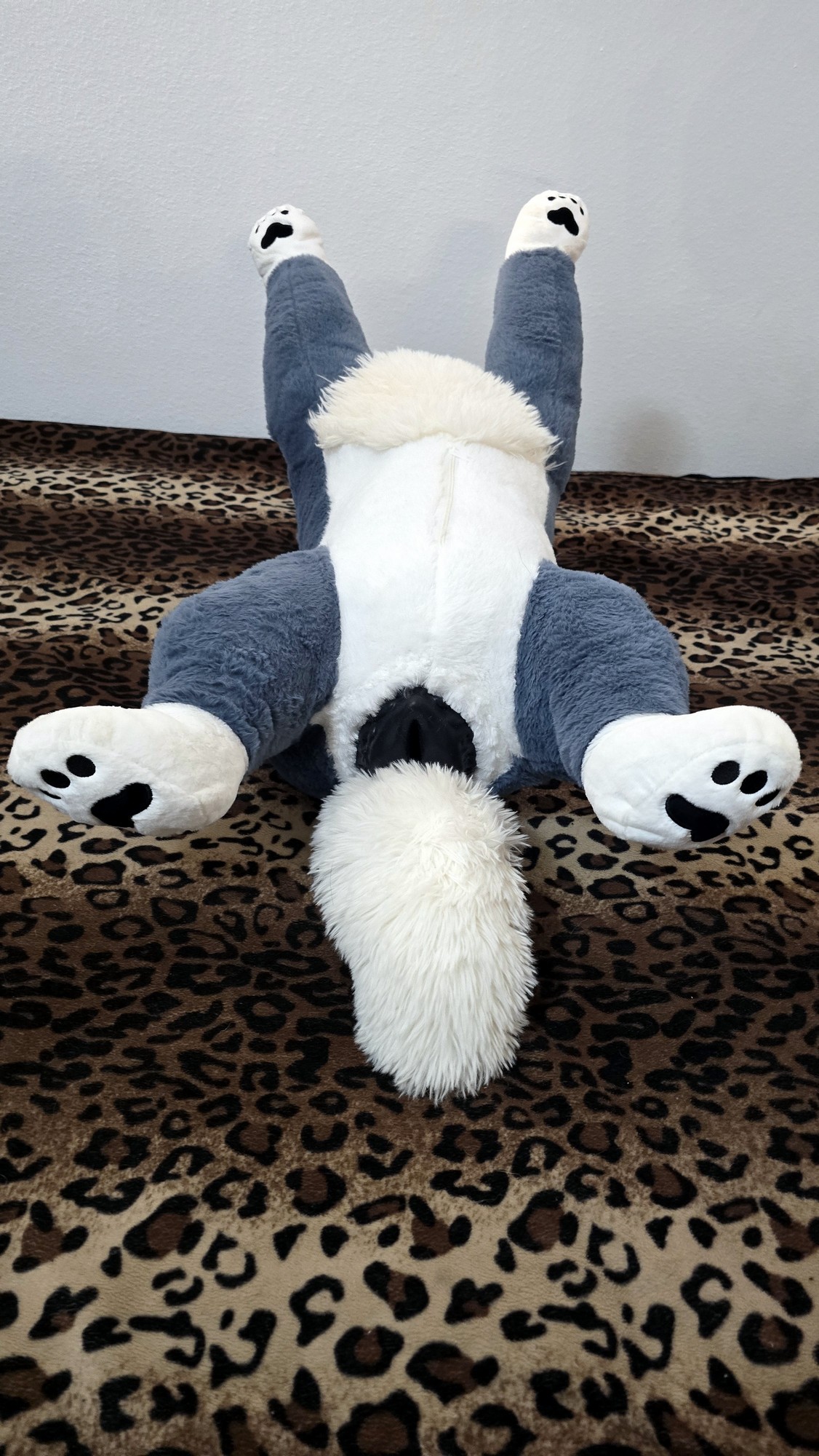 20250723_165942(0) (Copy)