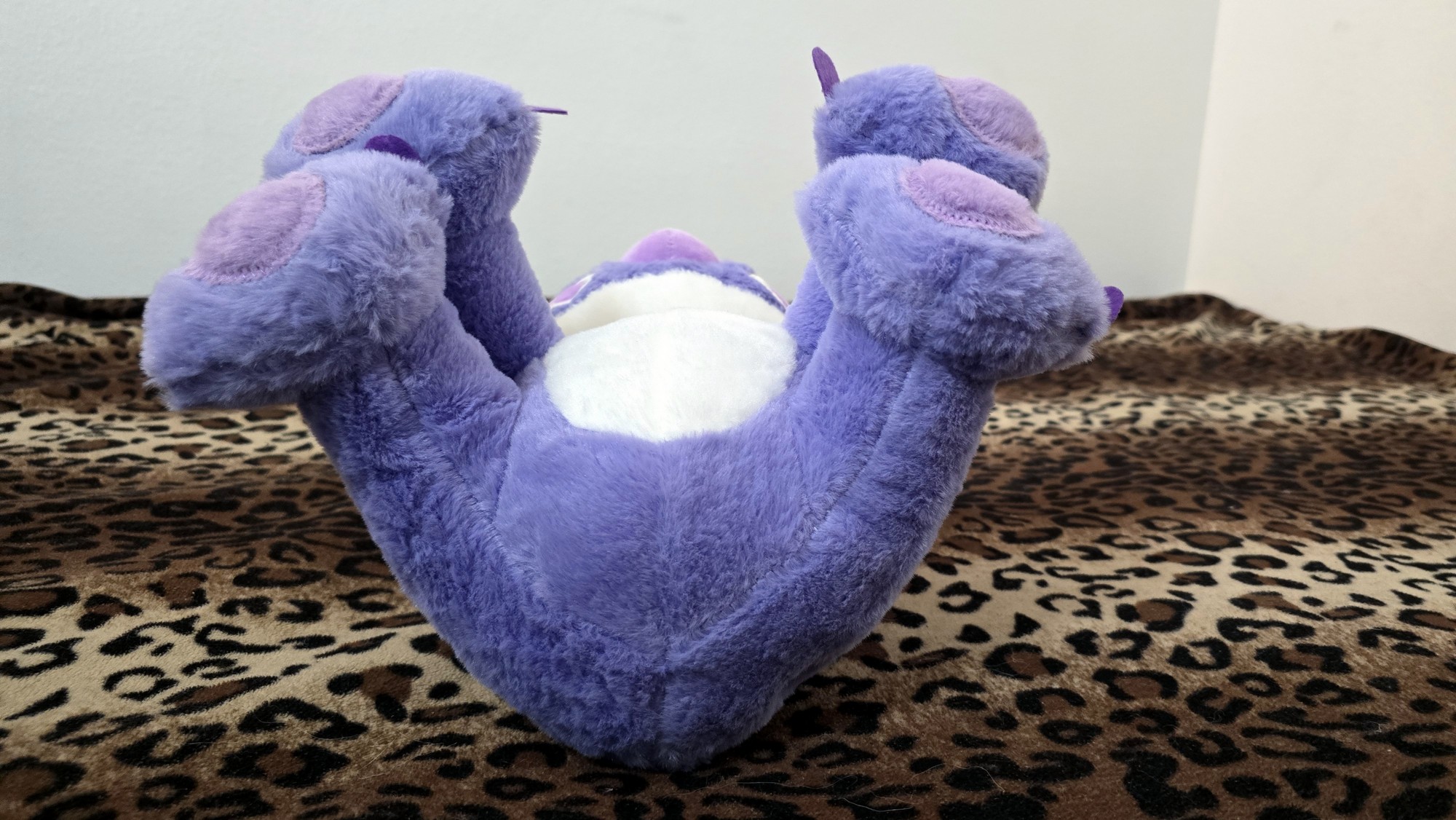 20250730_110411 (Copy)