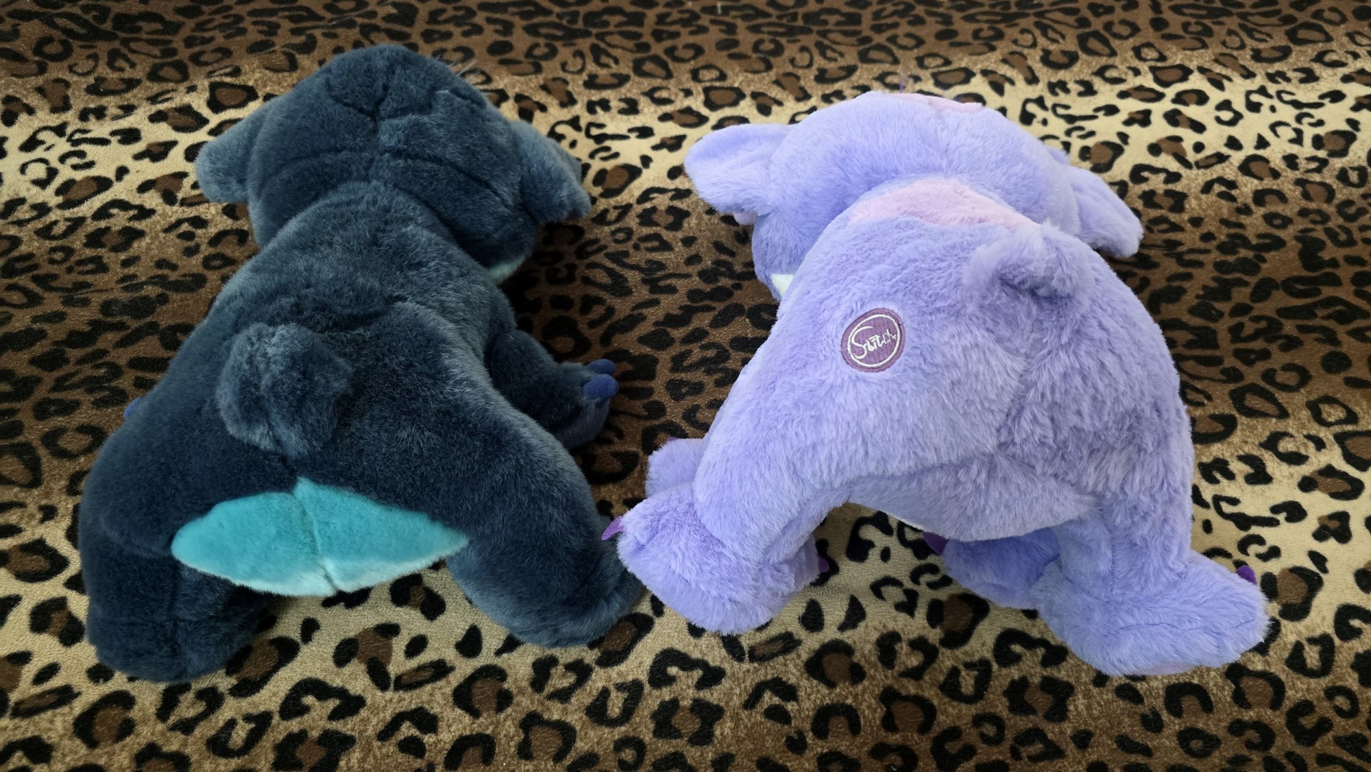 20250730_110435 (Copy)