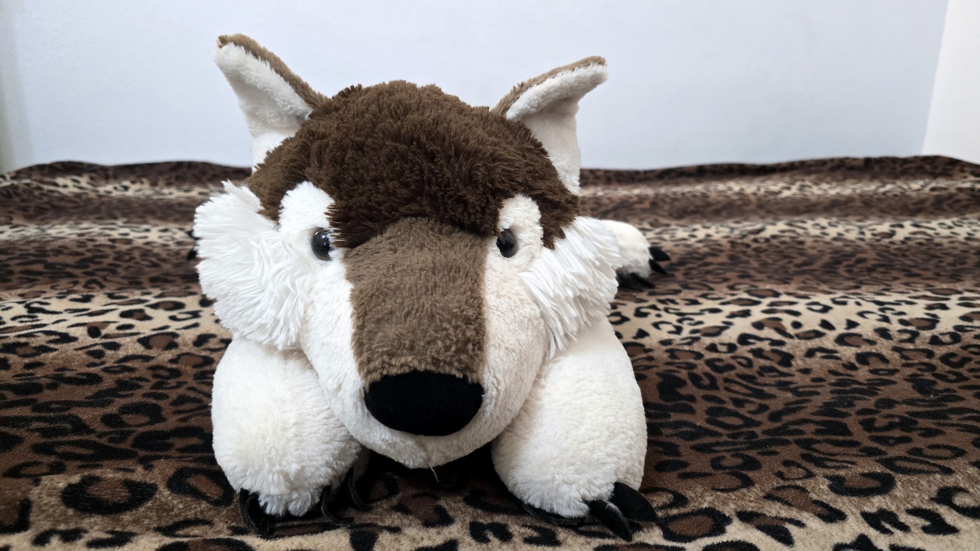 20251027_141948(0) (Copy)