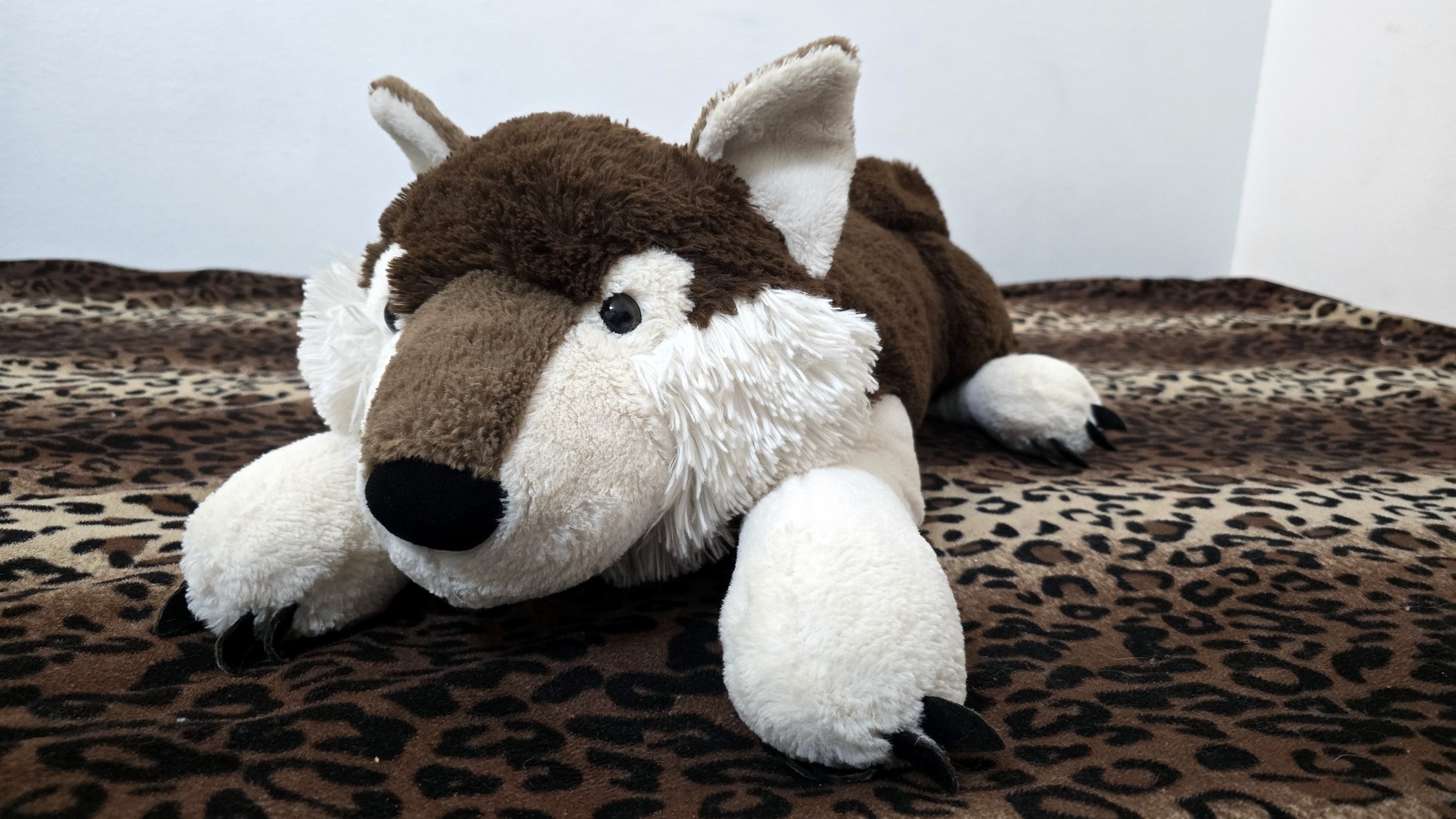 20251027_141954 (Copy)