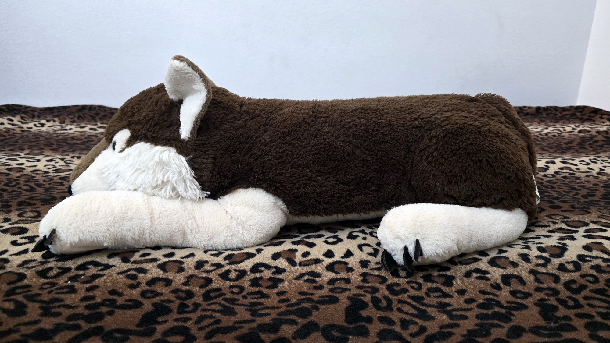 20251027_141959 (Copy)