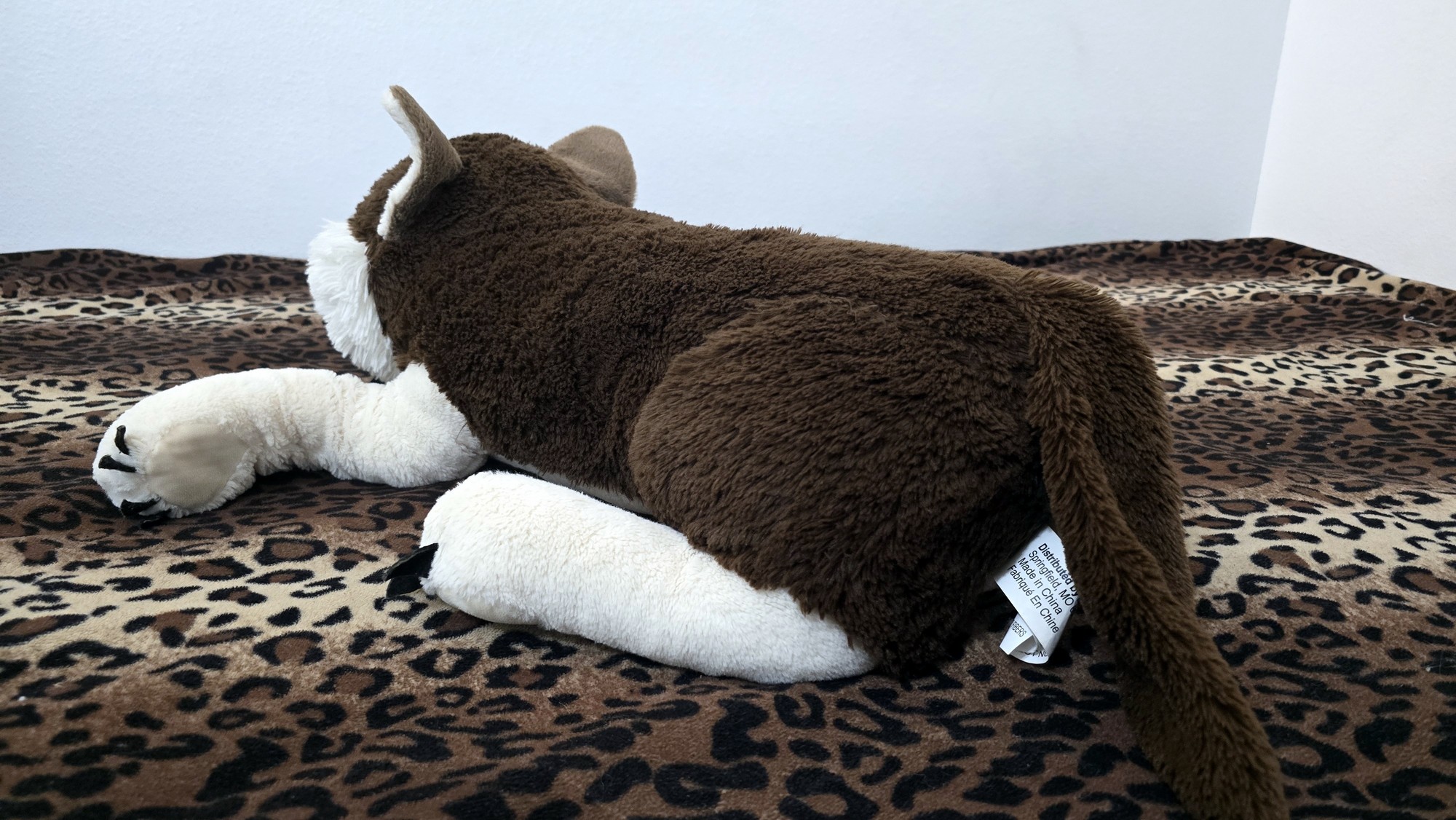 20251027_142002 (Copy)