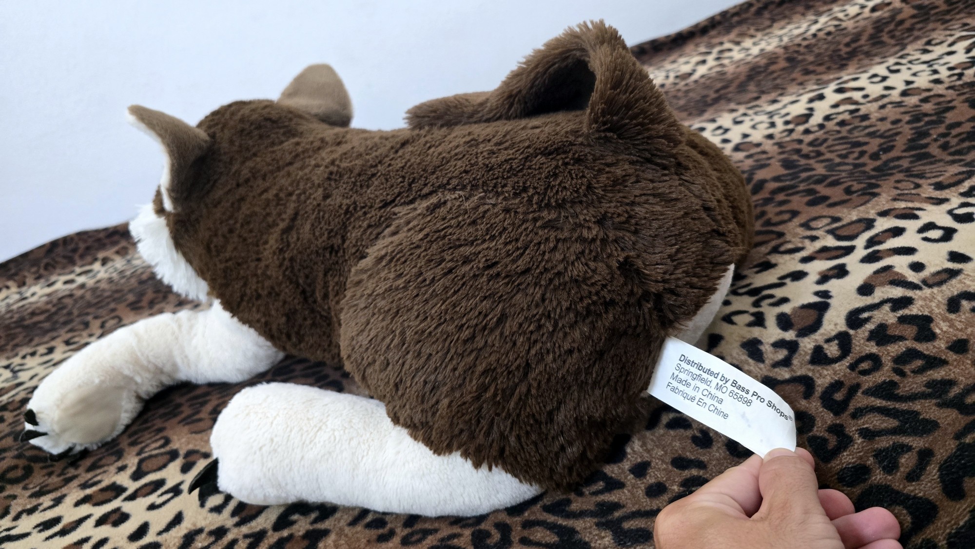 20251027_142009 (Copy)