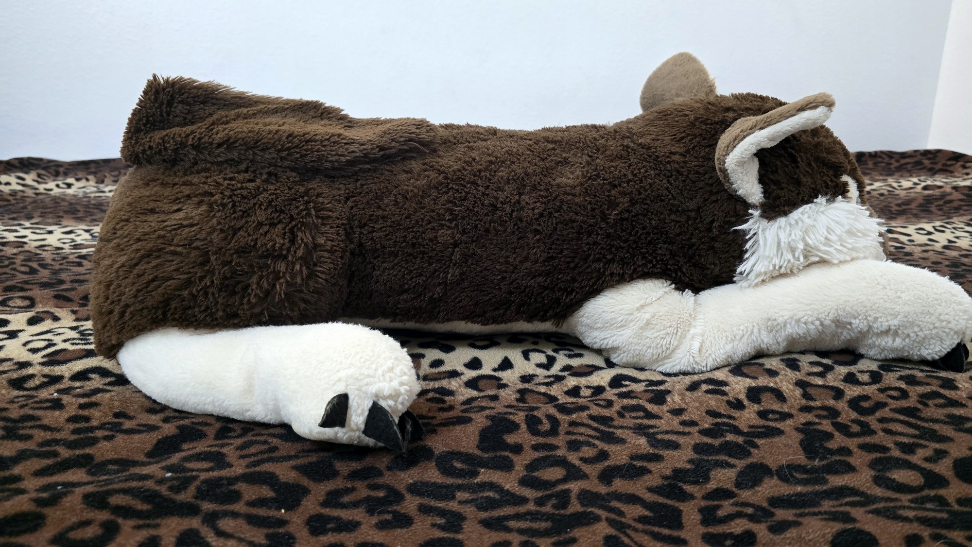 20251027_142018 (Copy)