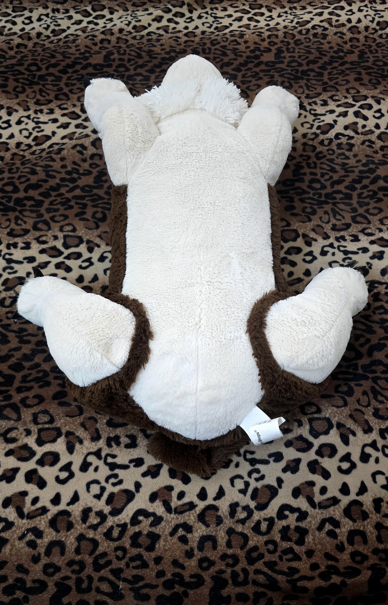 20251027_142031(0) (Copy)