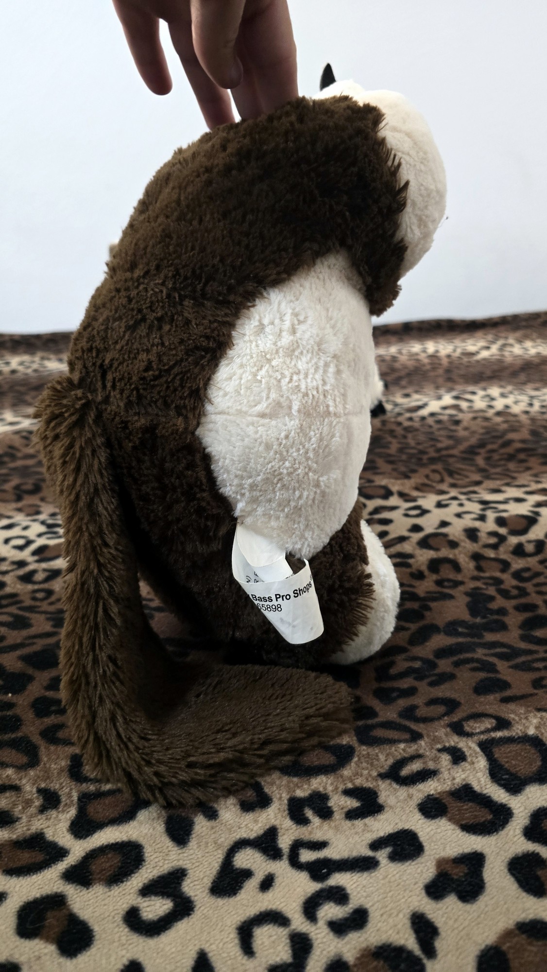 20251027_142041 (Copy)