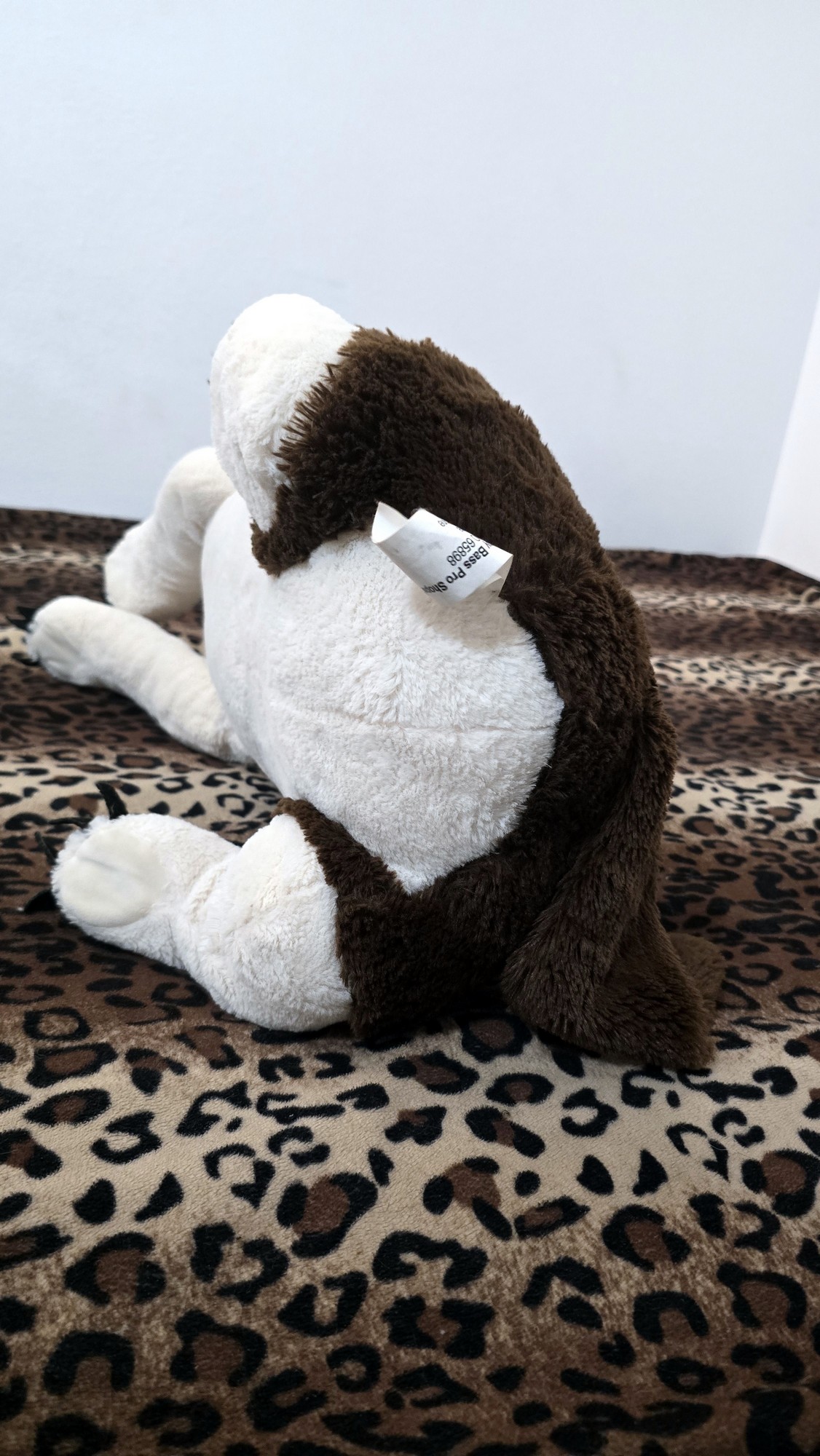 20251027_142046 (Copy)