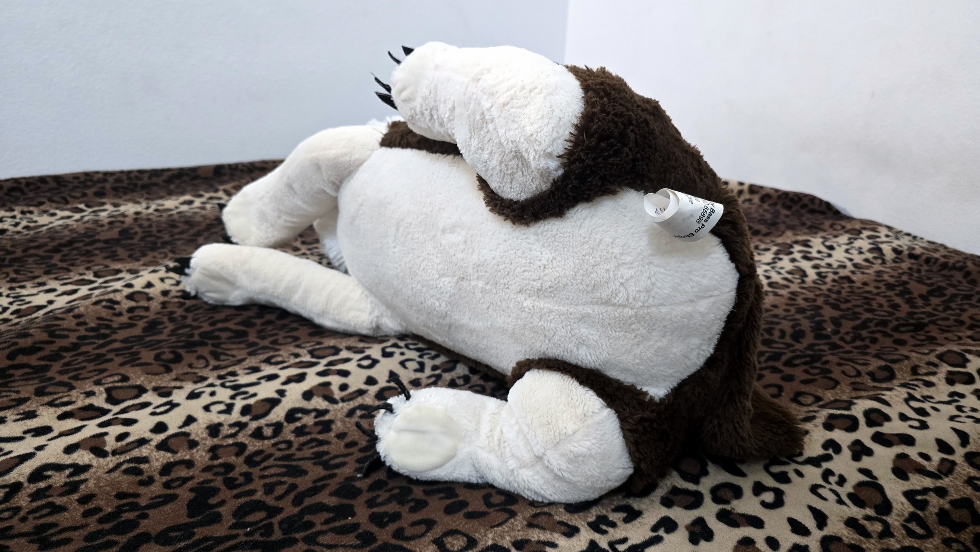 20251027_142057 (Copy)