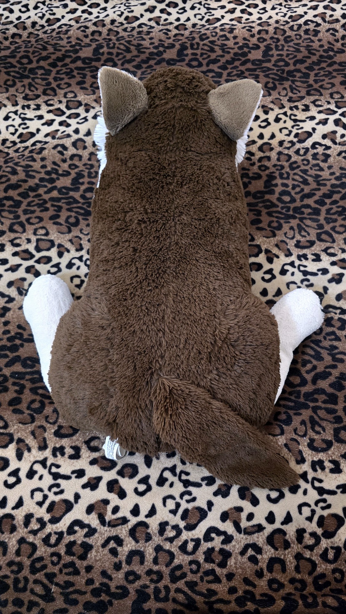 20251027_142105 (Copy)