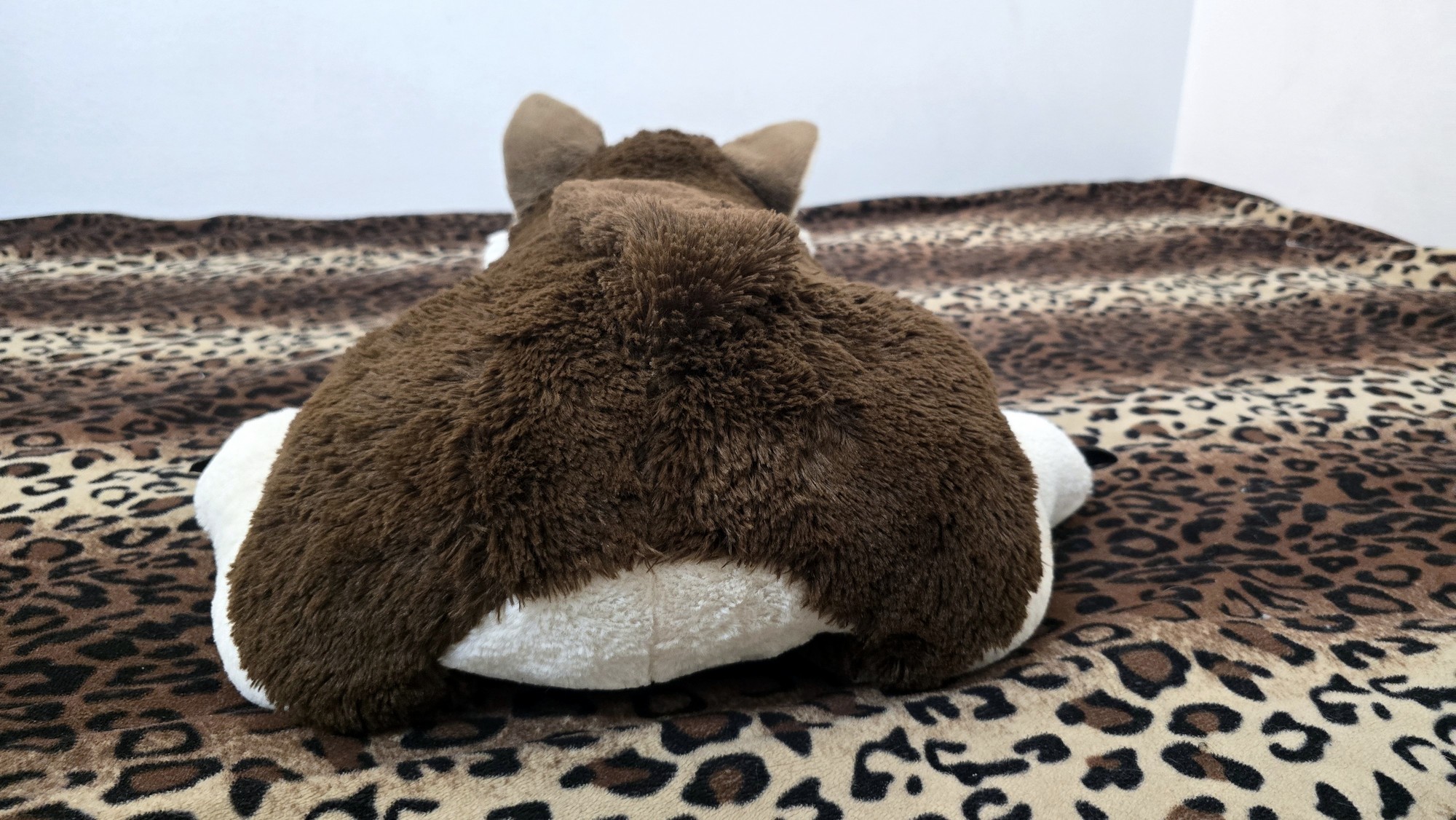 20251027_152509(0) (Copy)