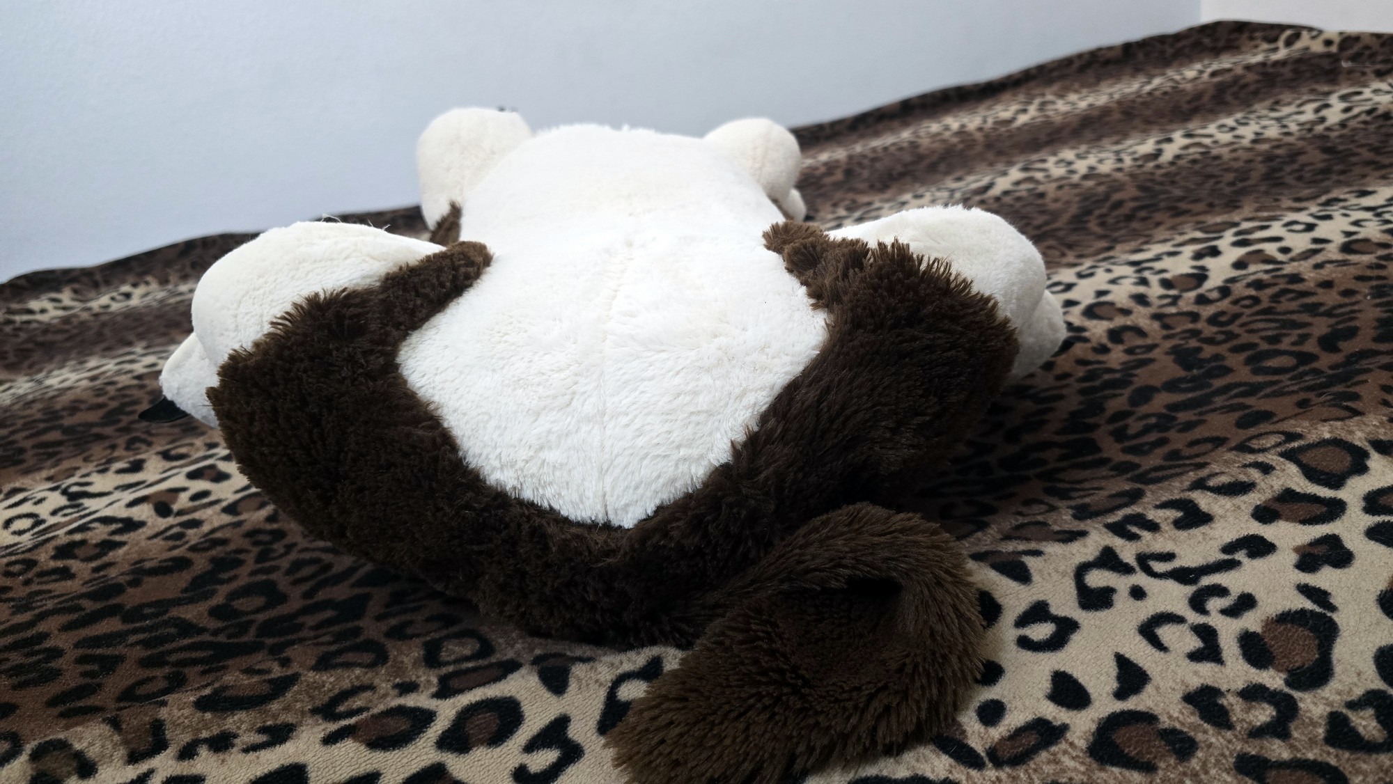 20251027_152516 (Copy)