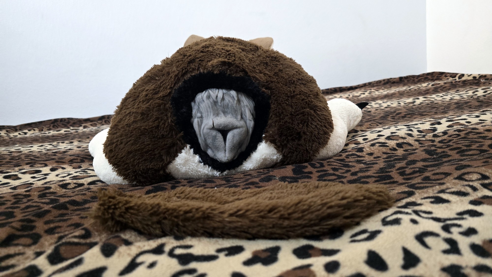 20251027_170820 (Copy)