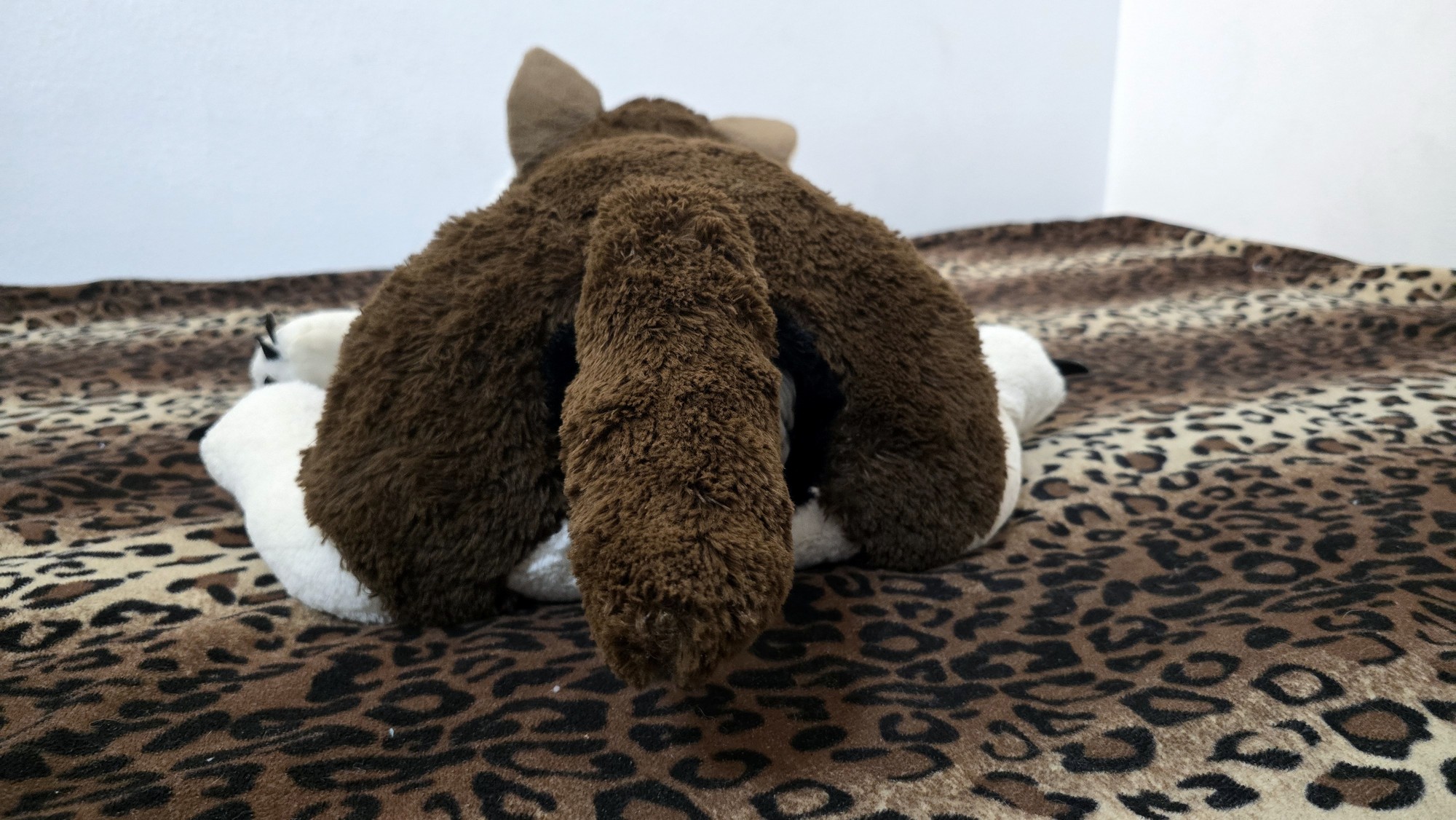 20251027_183529 (Copy)