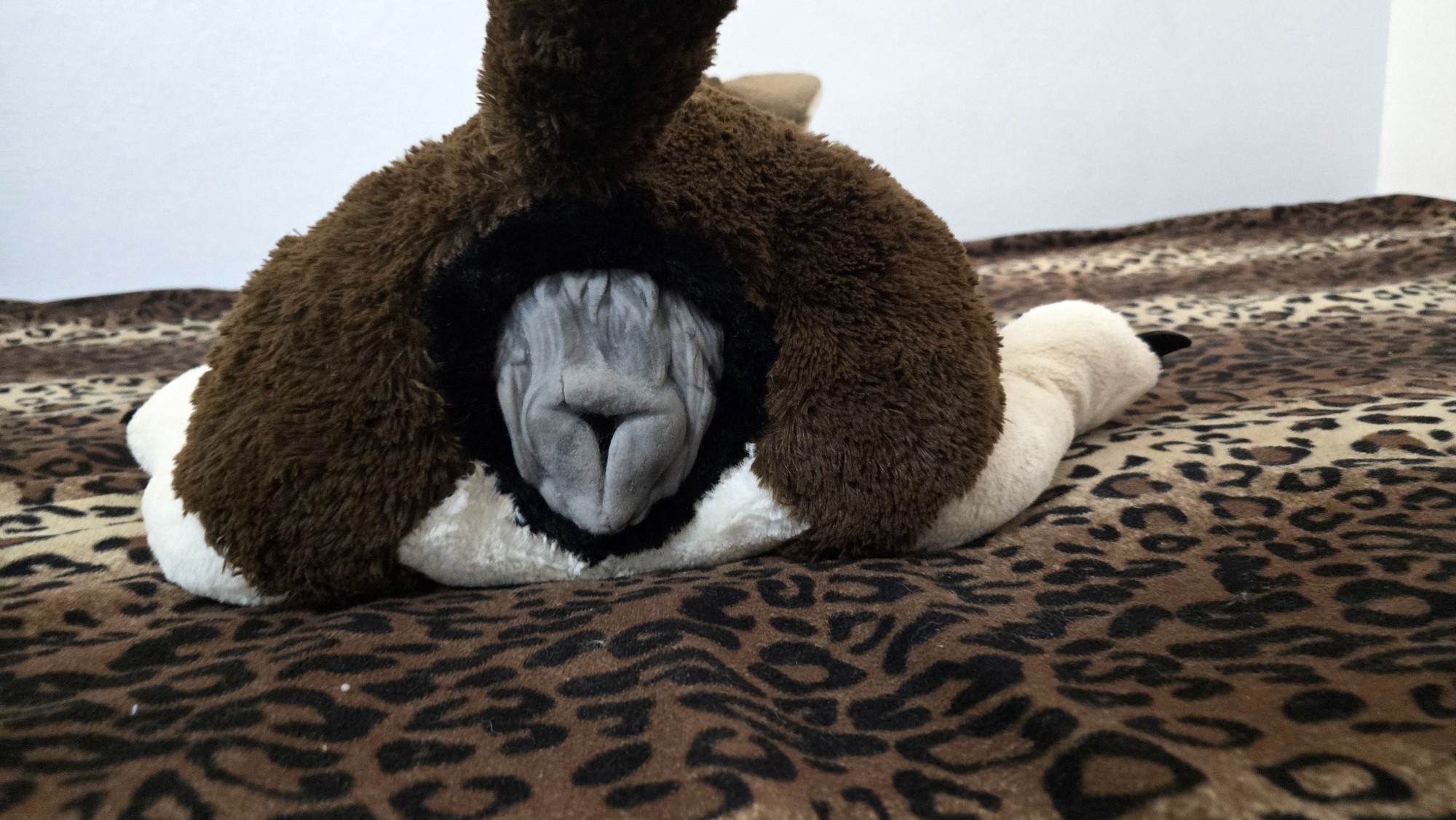 20251027_183545 (Copy)