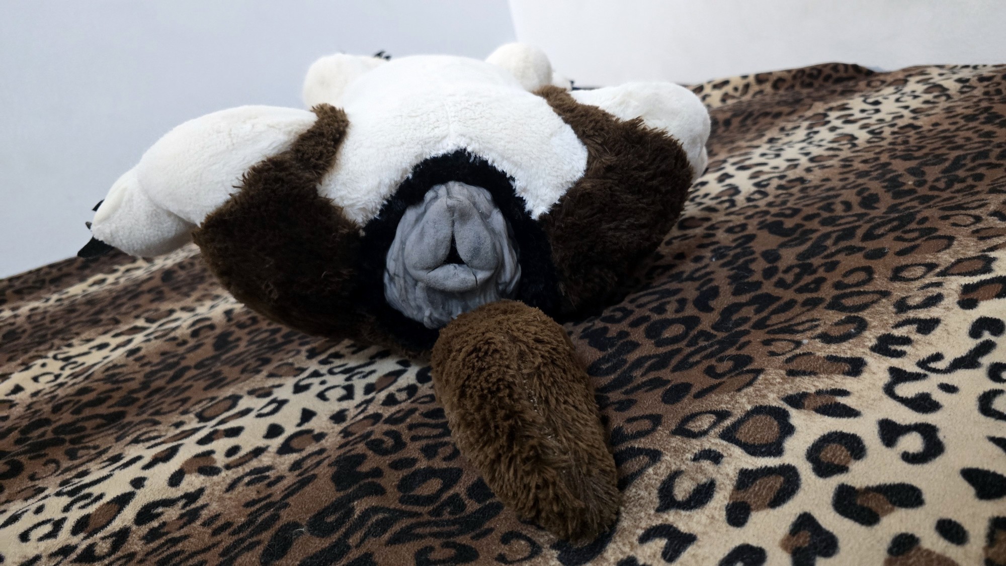 20251027_183608 (Copy)