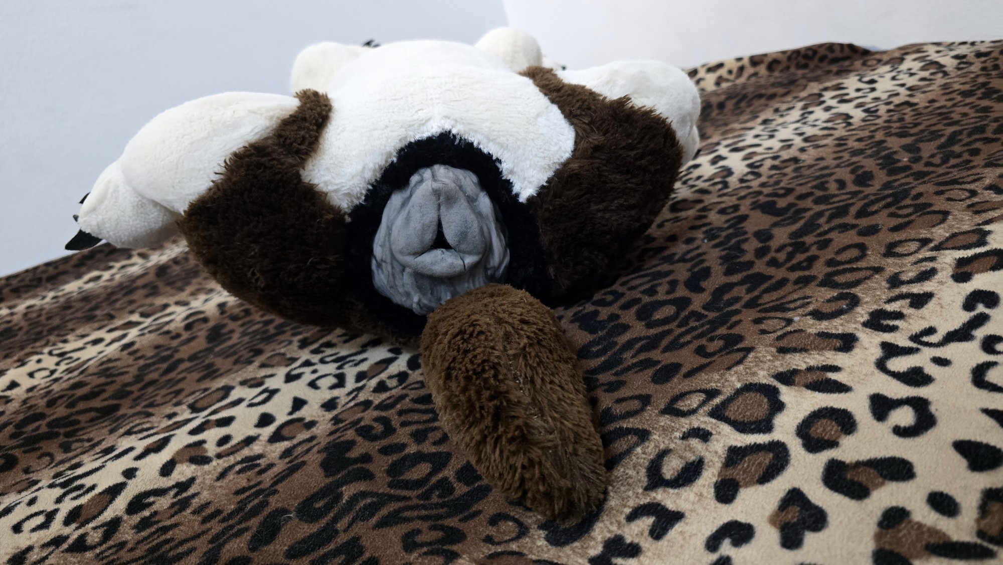 20251027_183609 (Copy)