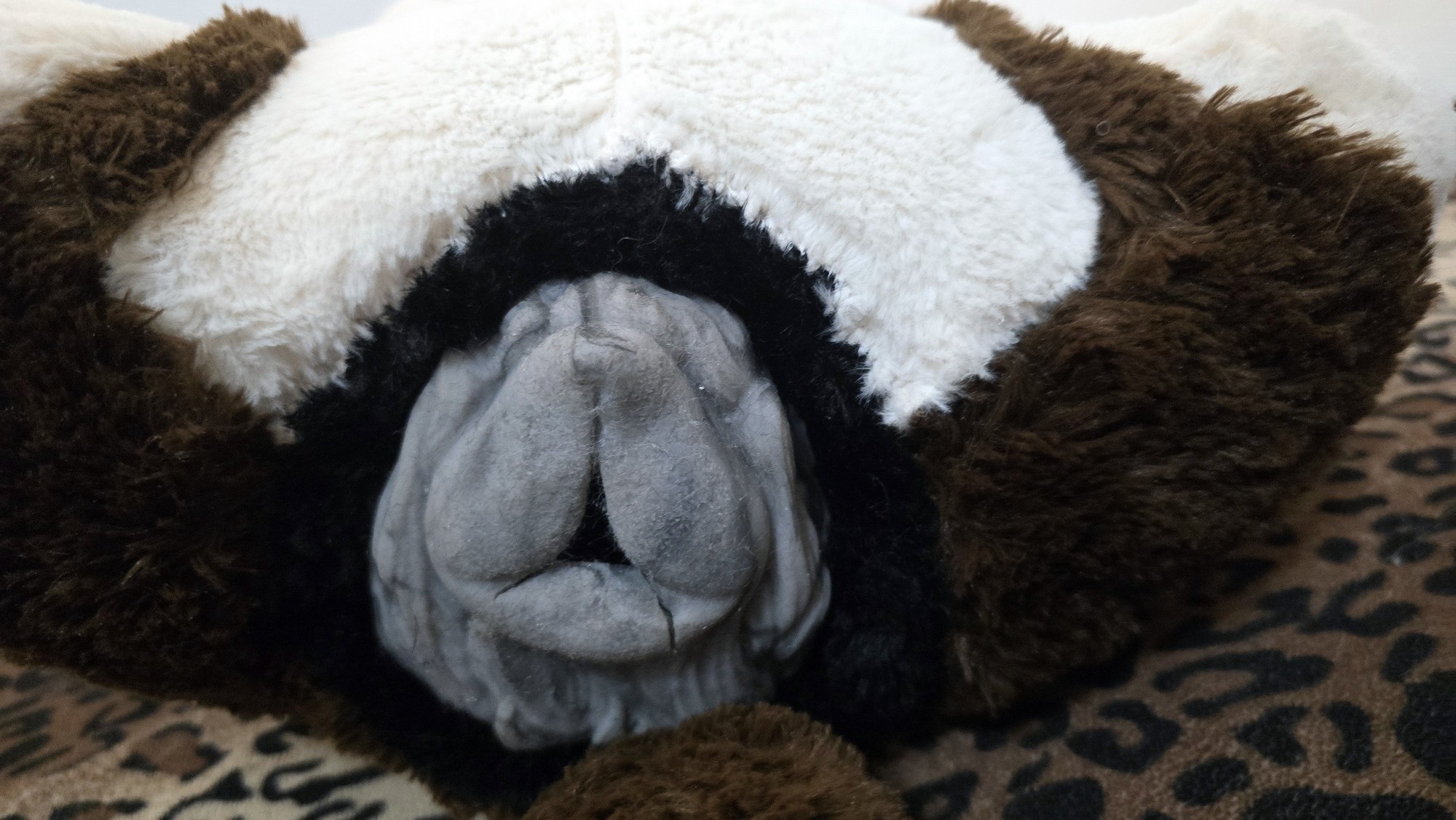 20251027_183612 (Copy)