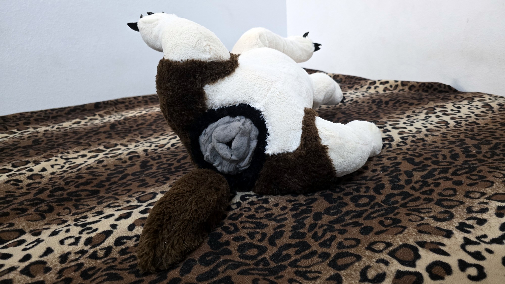 20251027_183620 (Copy)