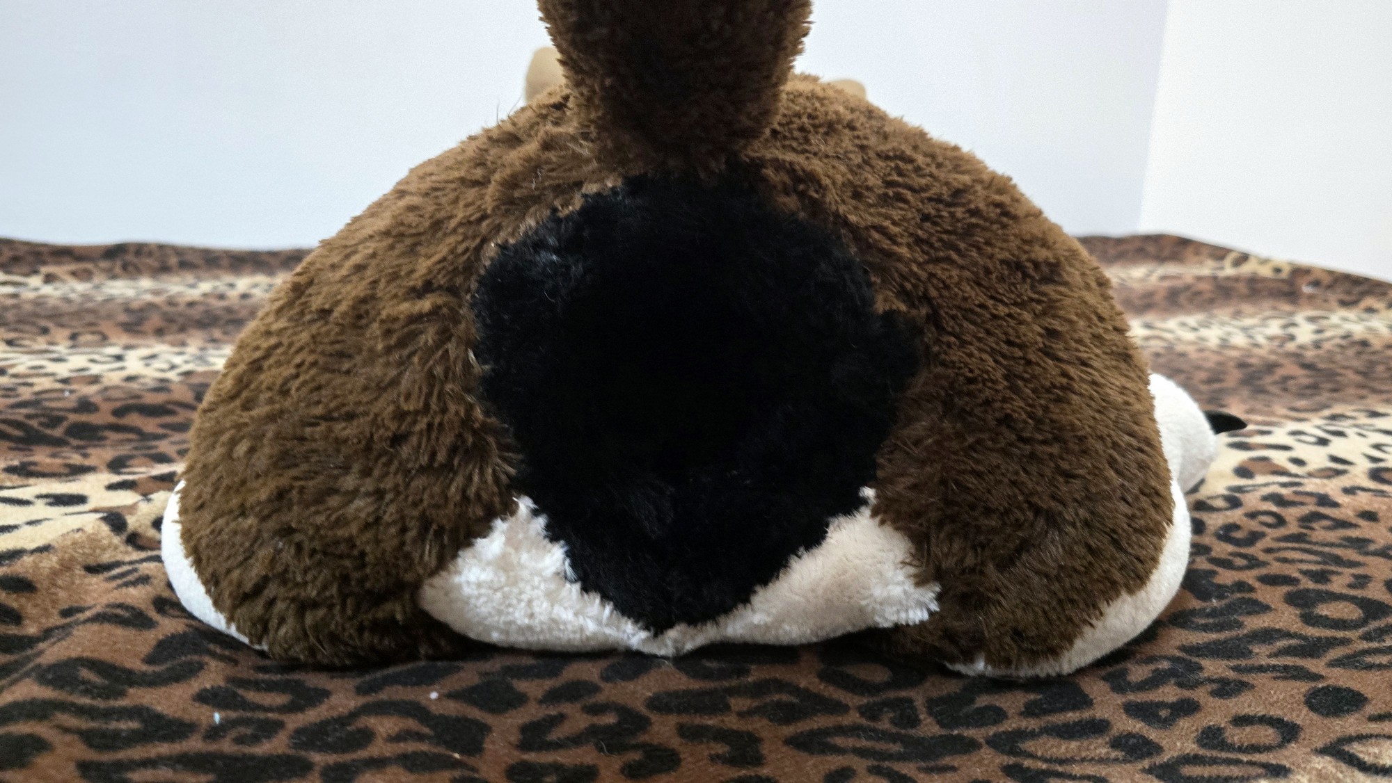 20251027_183629 (Copy)