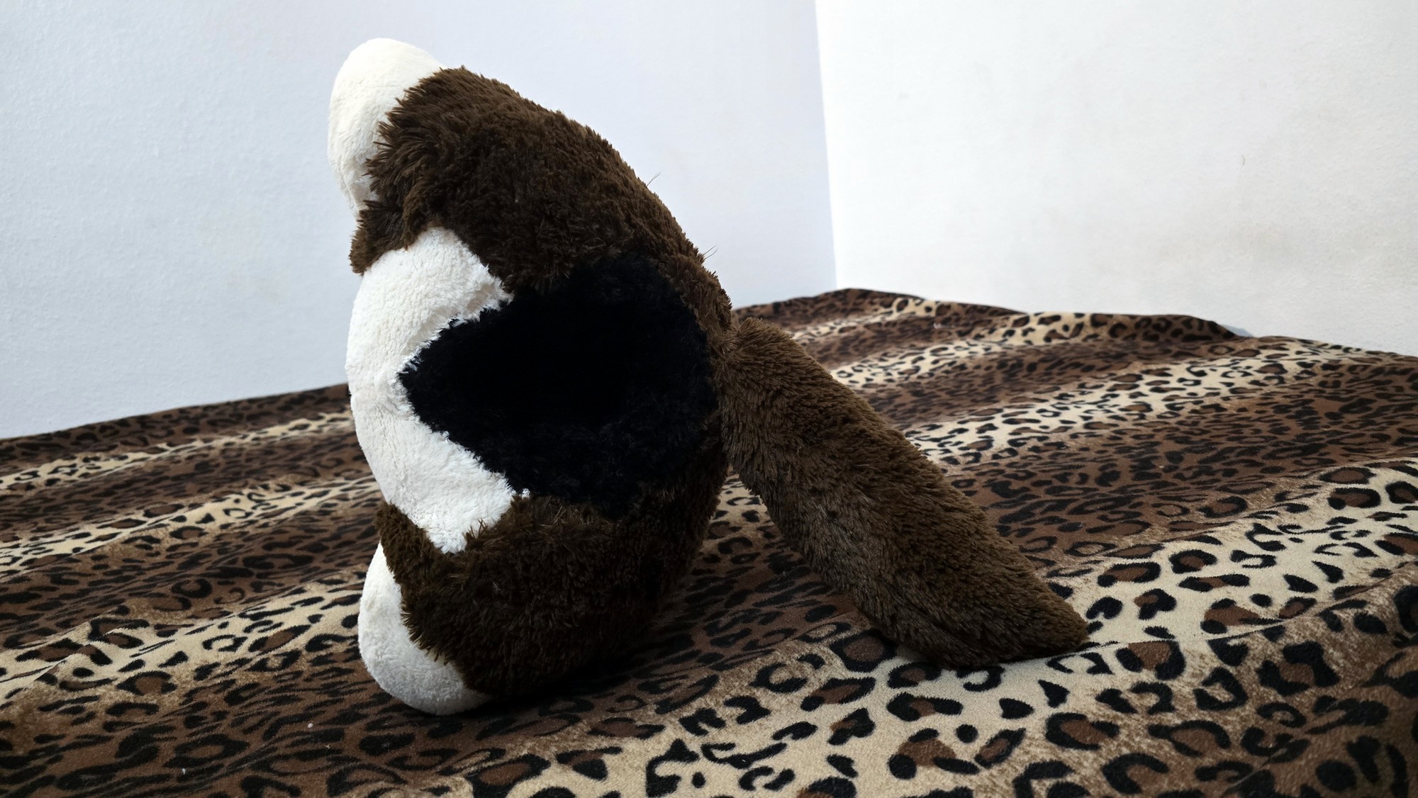 20251027_183635(0) (Copy)