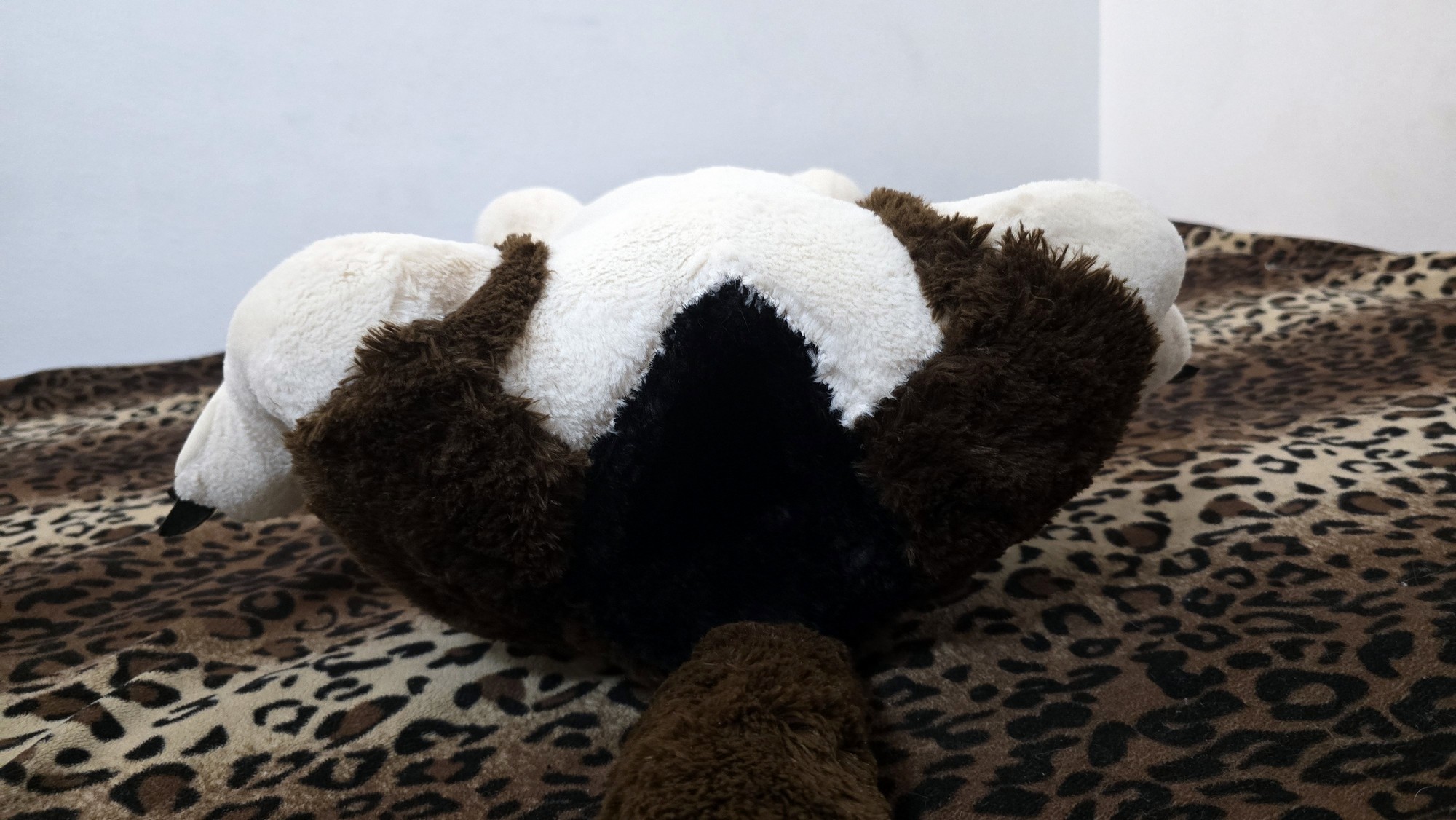 20251027_183643(0) (Copy)