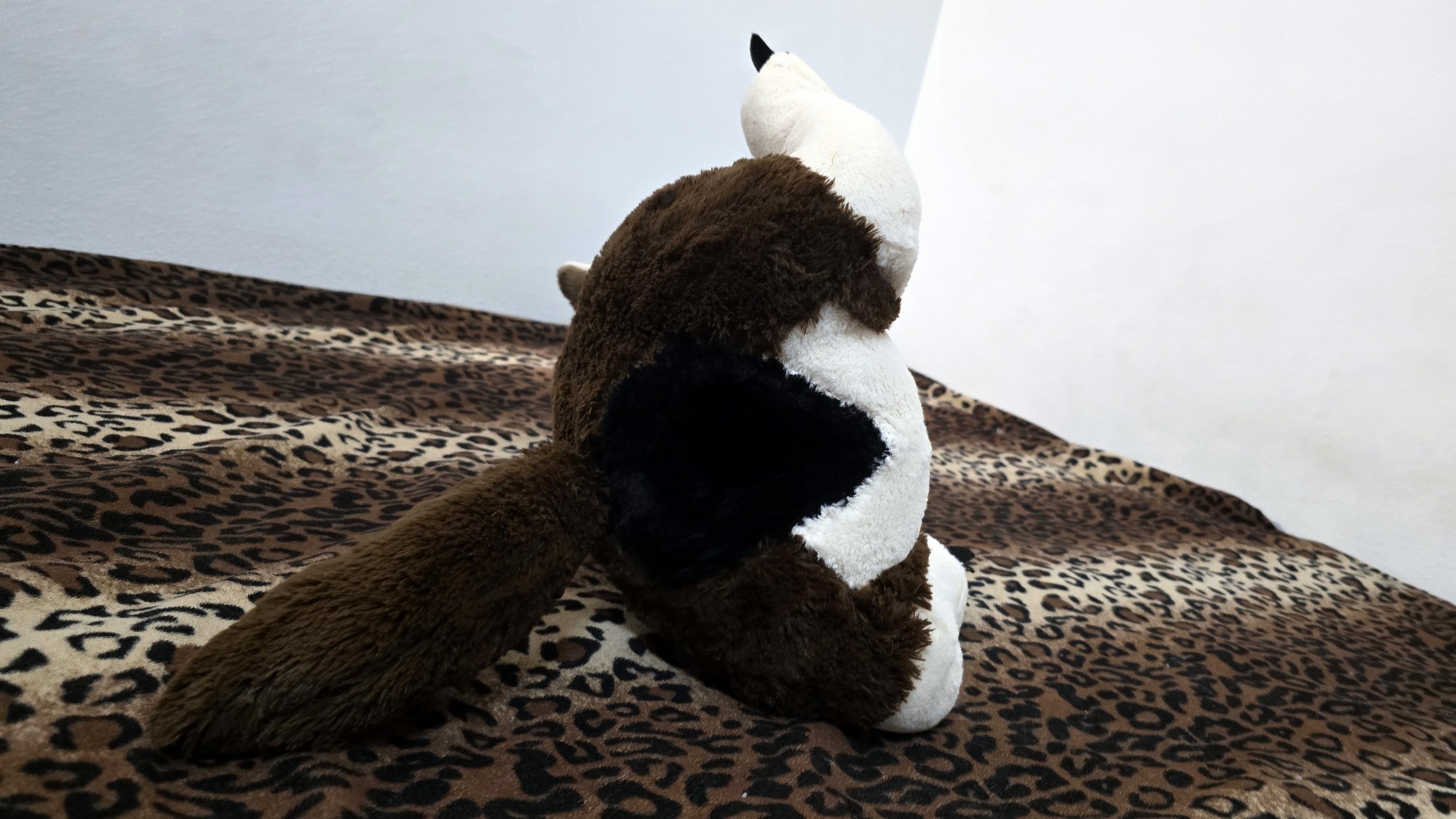 20251027_183648 (Copy)