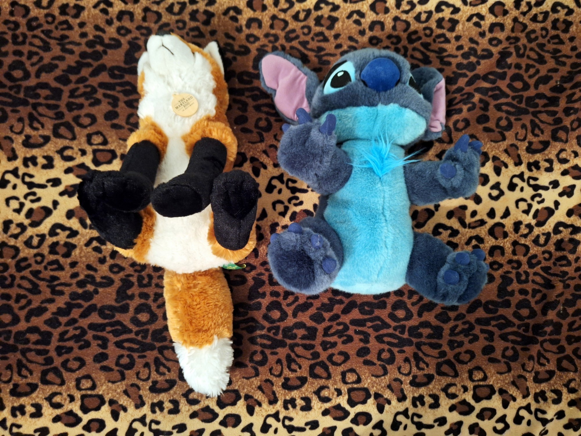 20240401_195411 (Copy)