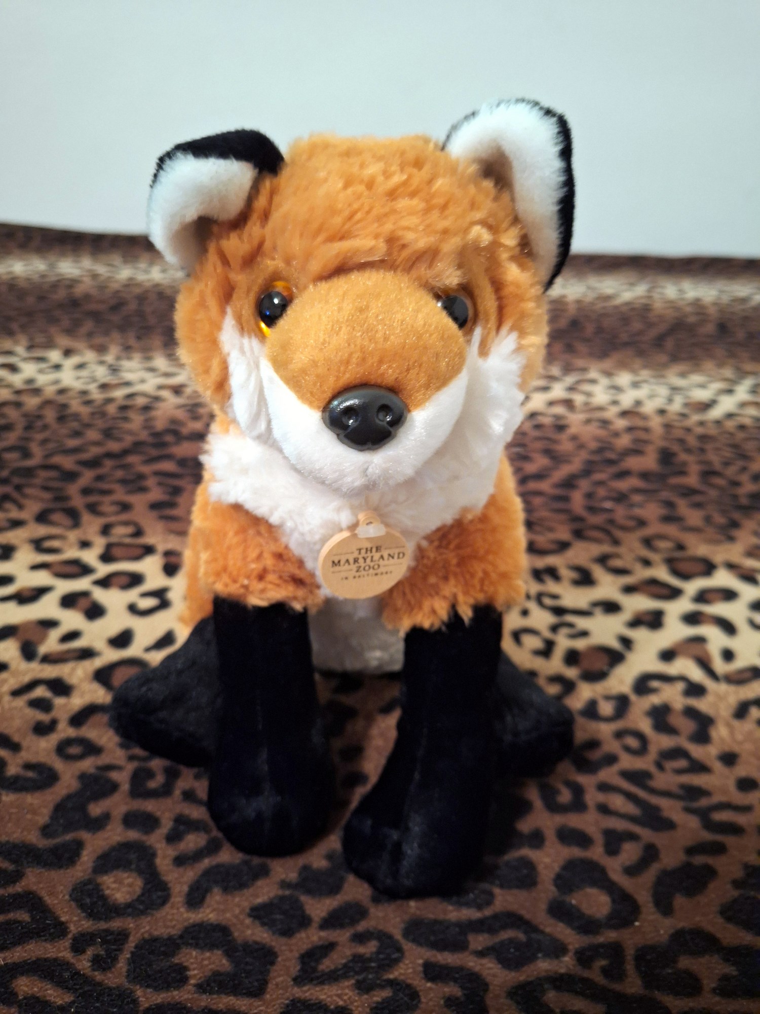 20240401_195428 (Copy)