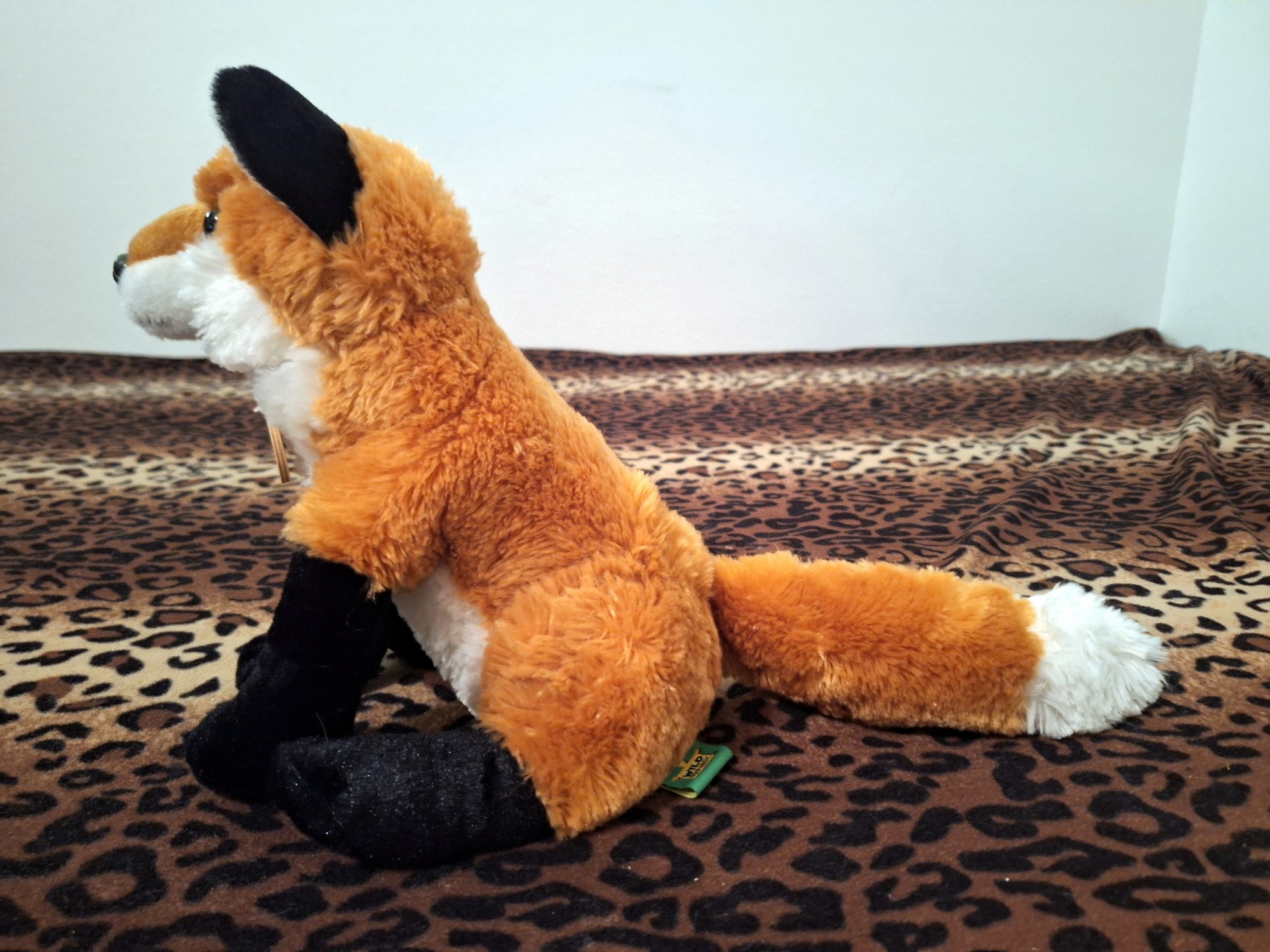 20240401_195434 (Copy)