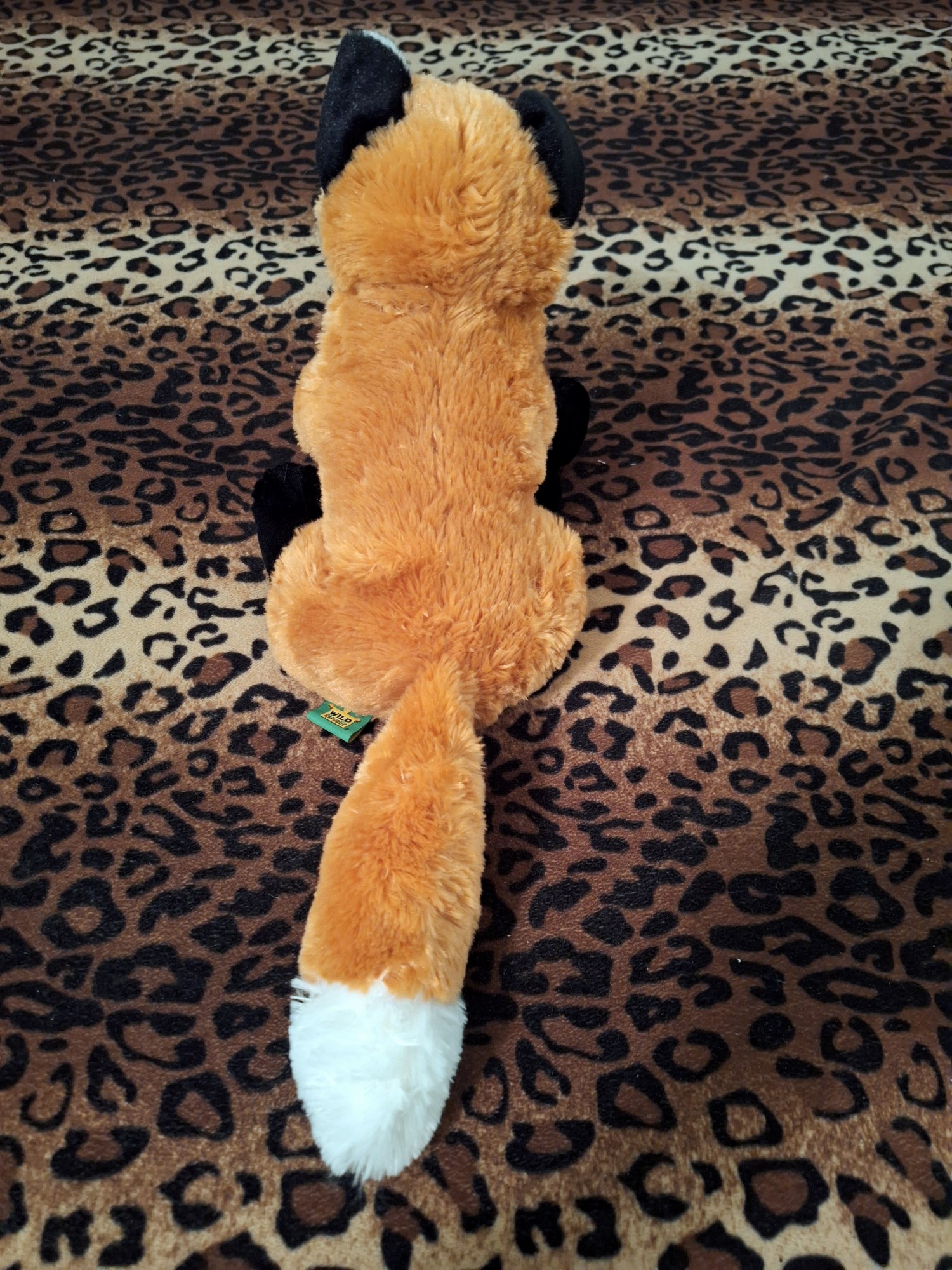 20240401_195440 (Copy)