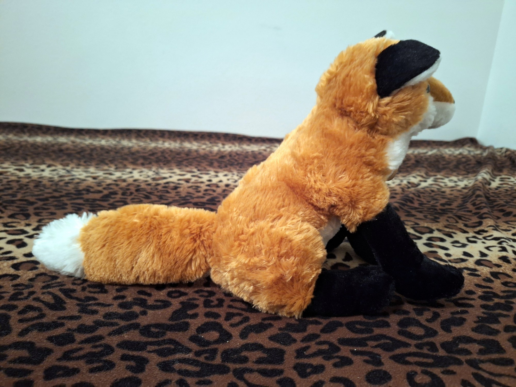 20240401_195446 (Copy)